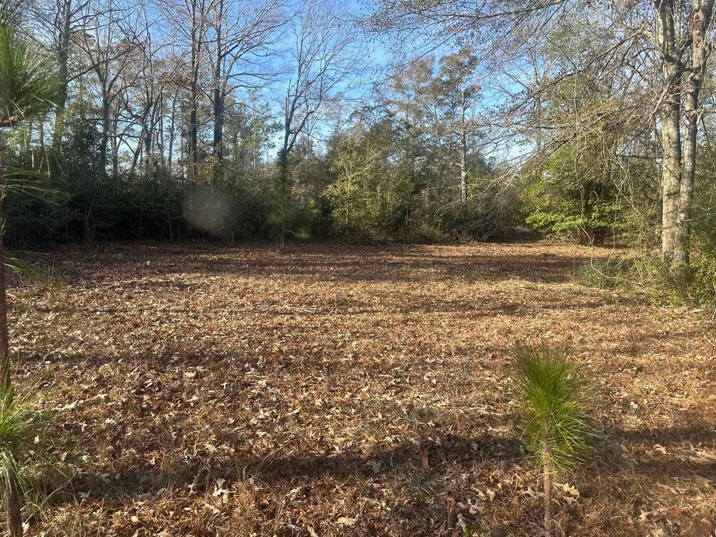 All Photos for White’s Land Maintenance in Milton,, FL