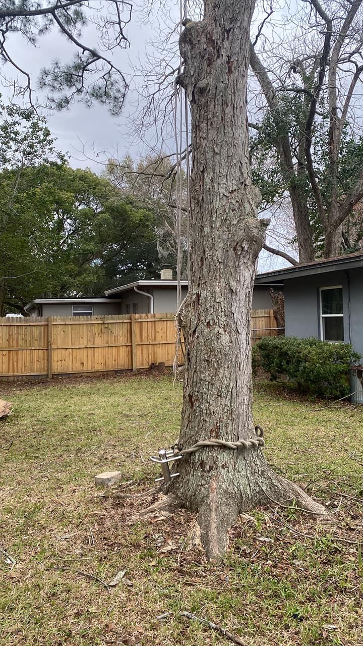  for Fast Cut Tree Service in Jacksonville Heights, FL