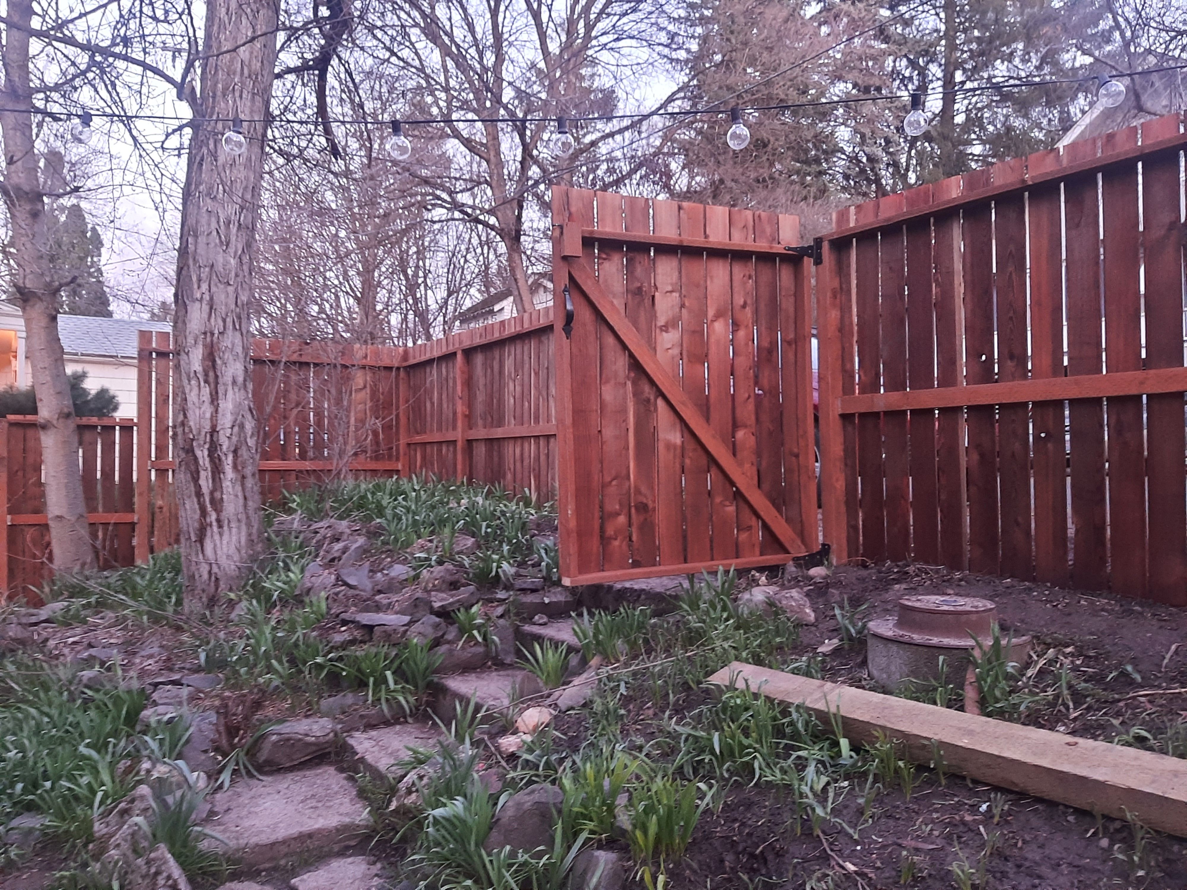  for Wild Mutt Handyman Services in Pullman, WA