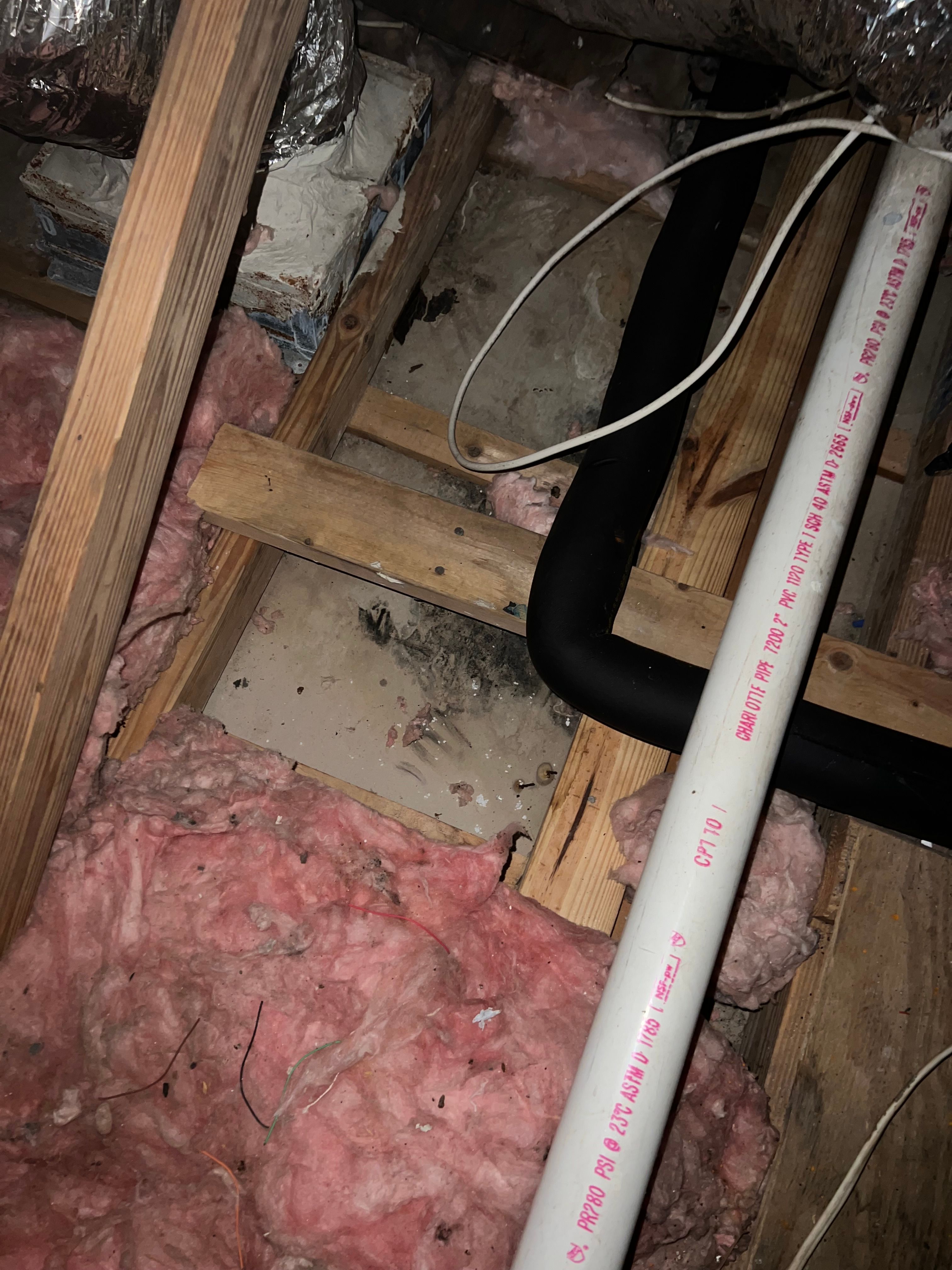  for N&D Restoration Services When Disaster Strikes, We Come In in Cape Coral,  FL