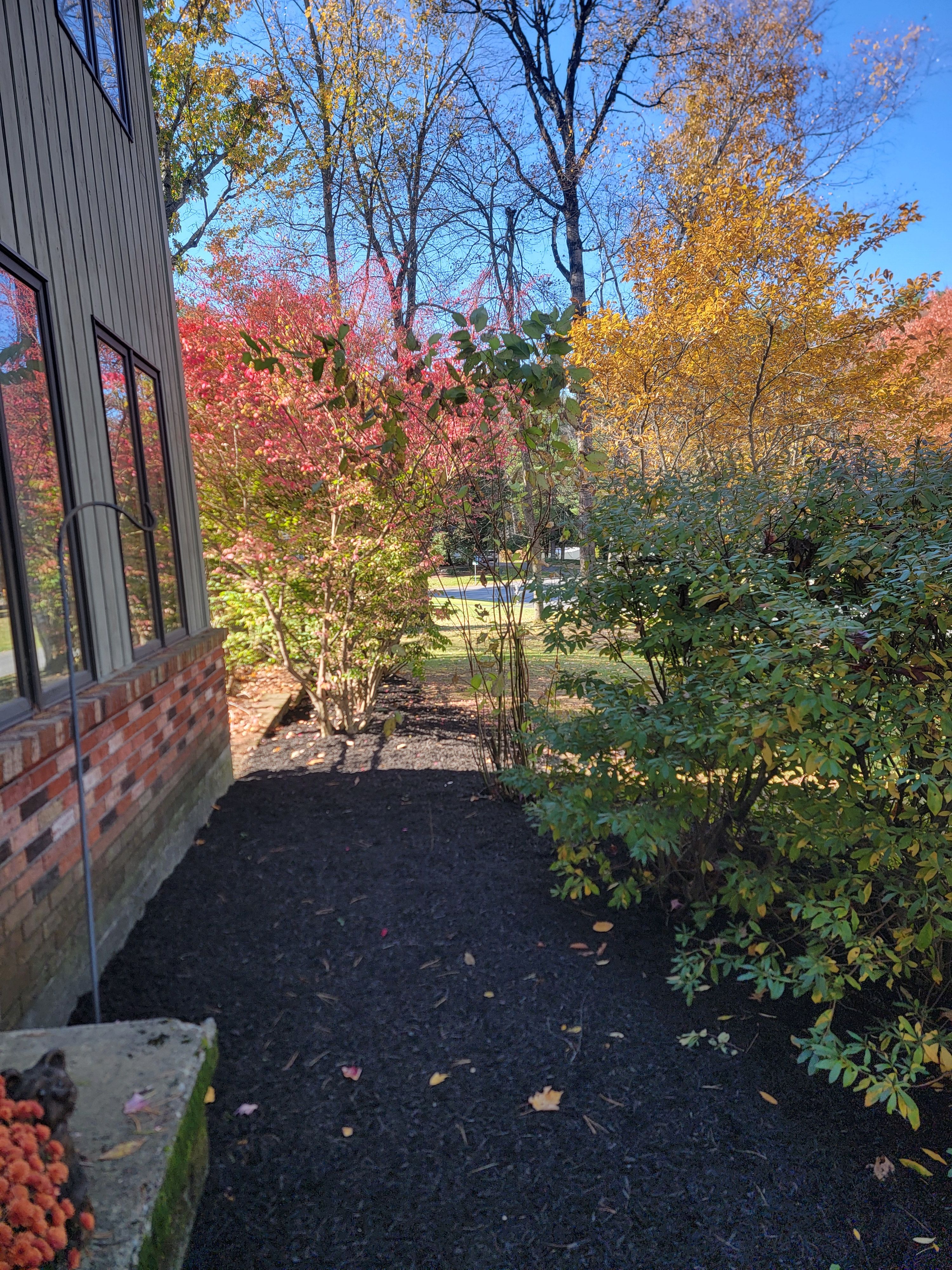 for Sweet Scapes in Ballston Spa, NY