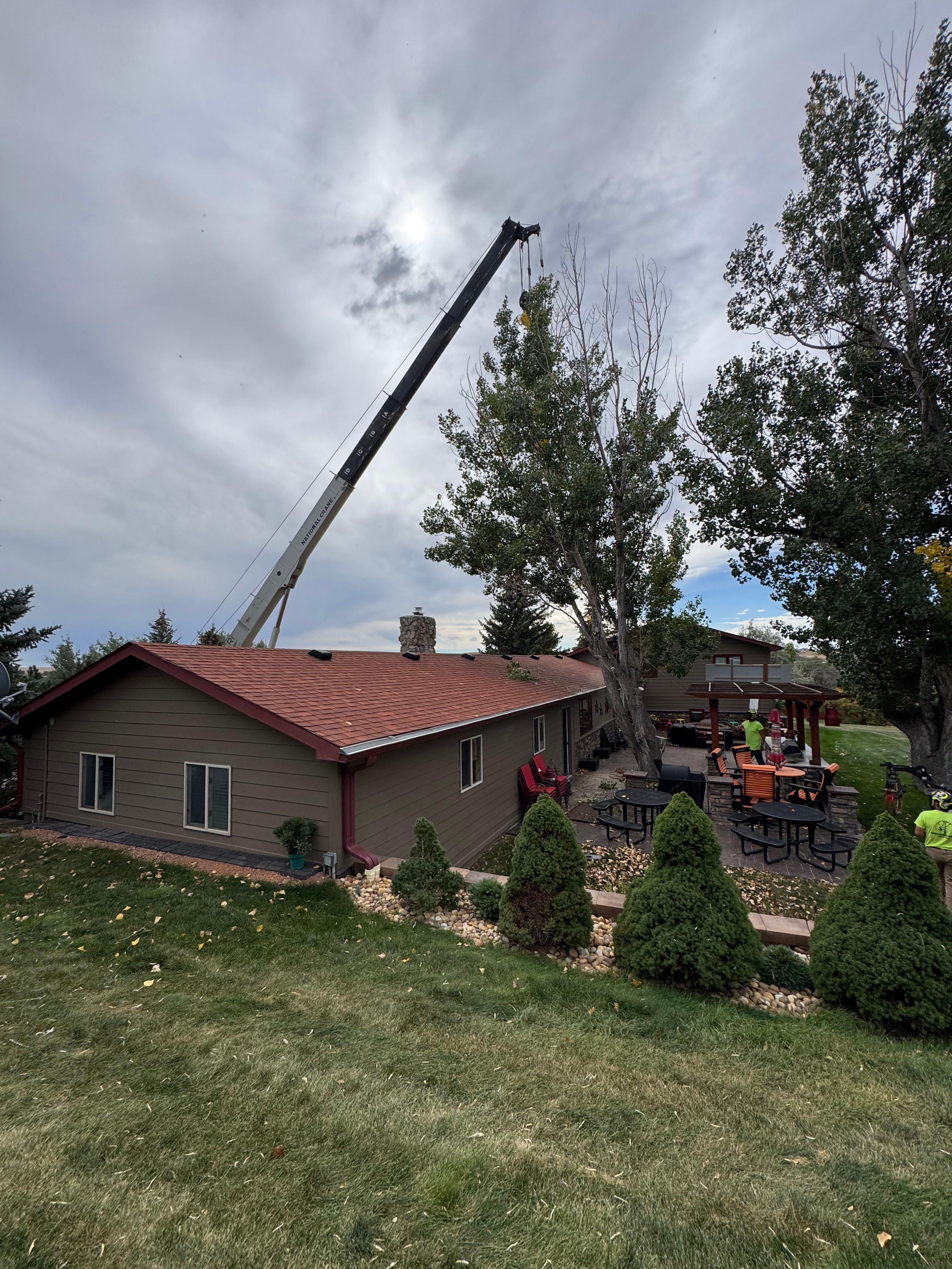  for Clean Cut Tree Service in Gillette, WY