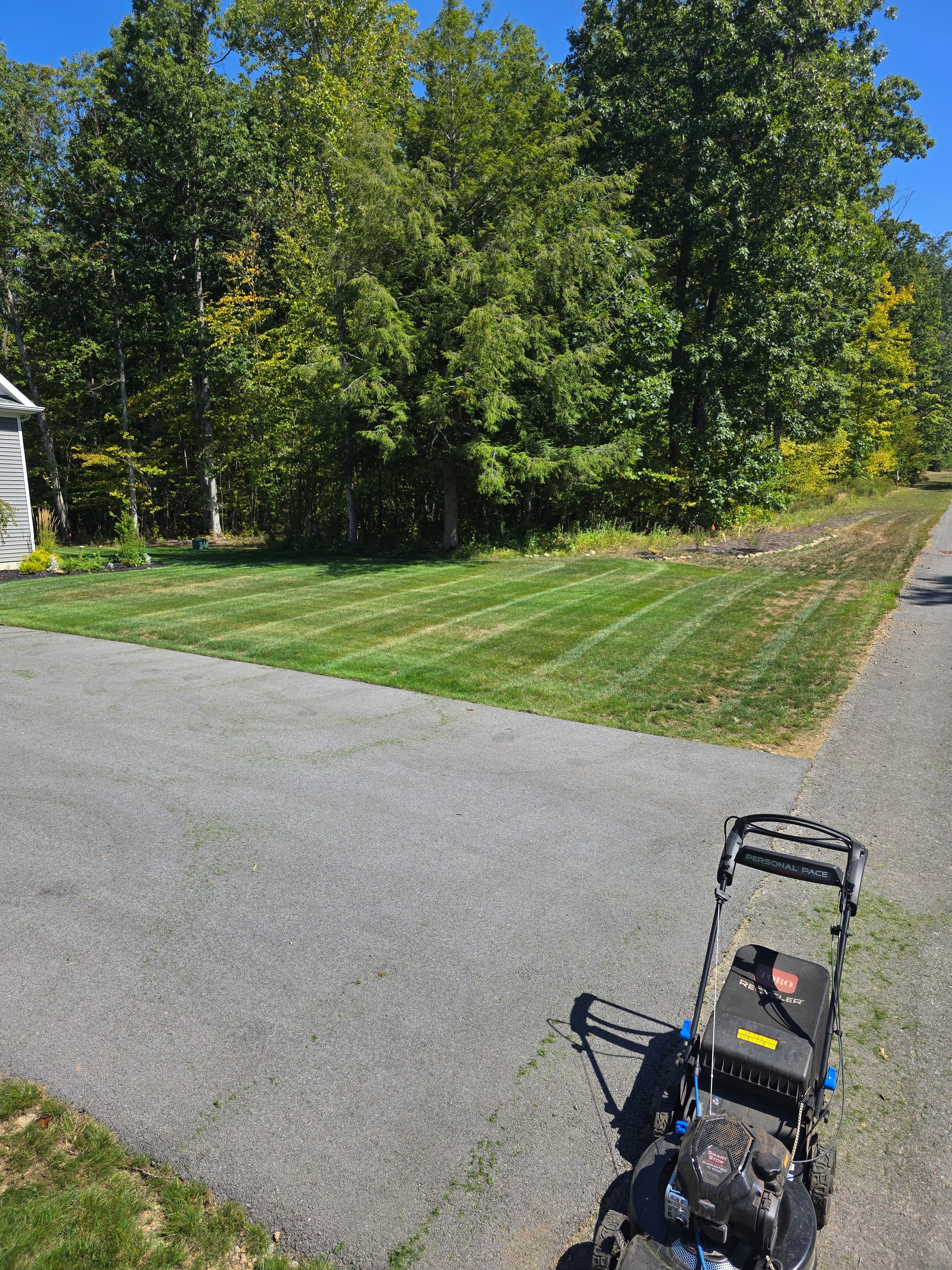  for Sweet Scapes in Ballston Spa, NY