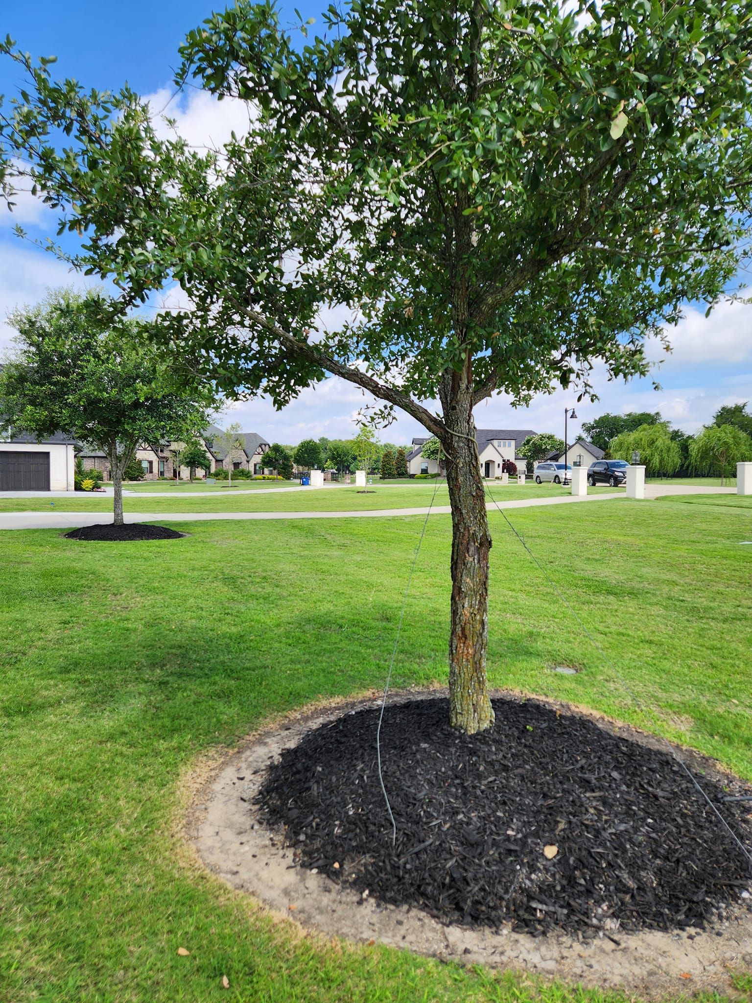  for Lavon Lawn Plus in Lavon, TX