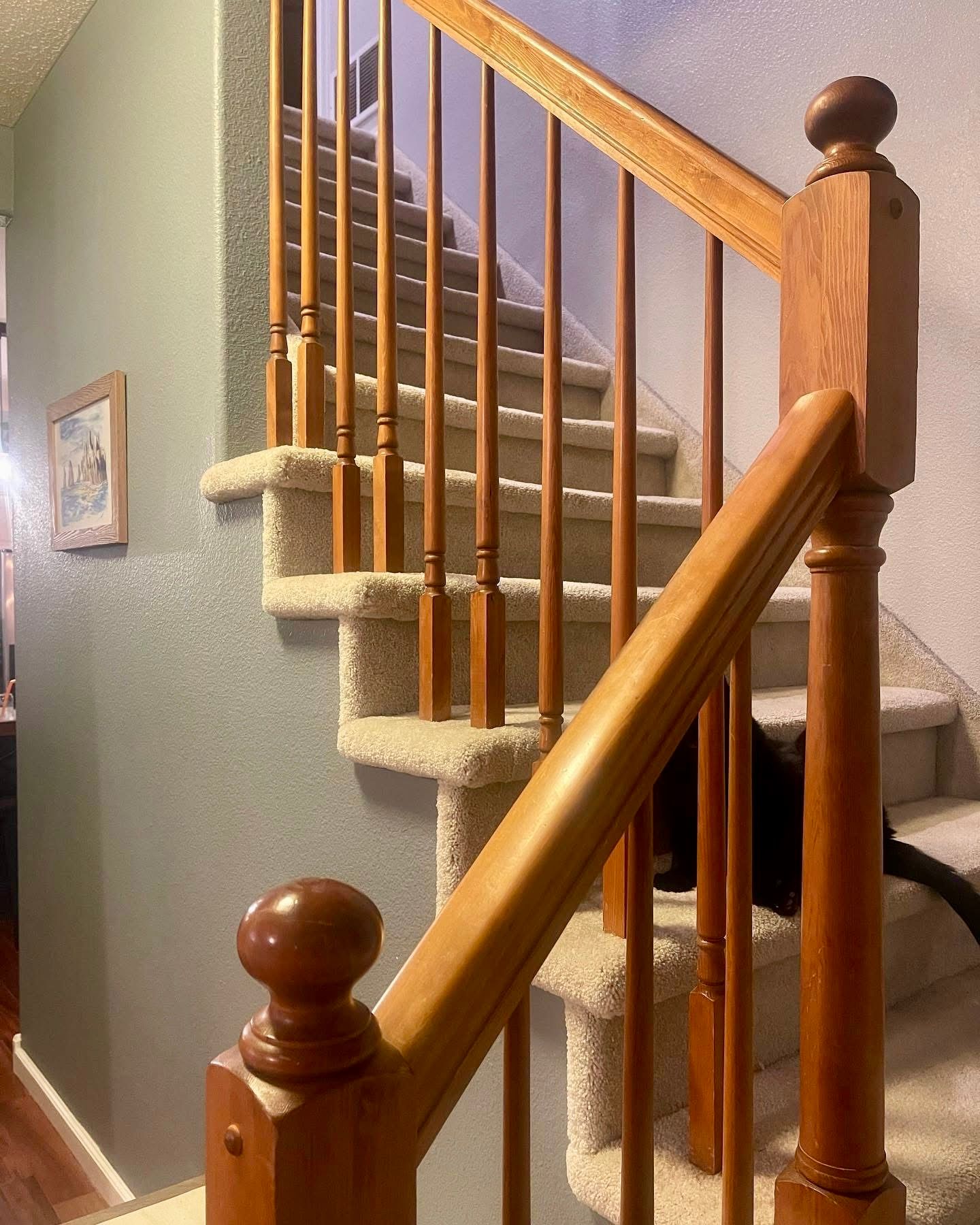  for All Season Improvements LLC in Colorado Springs, CO