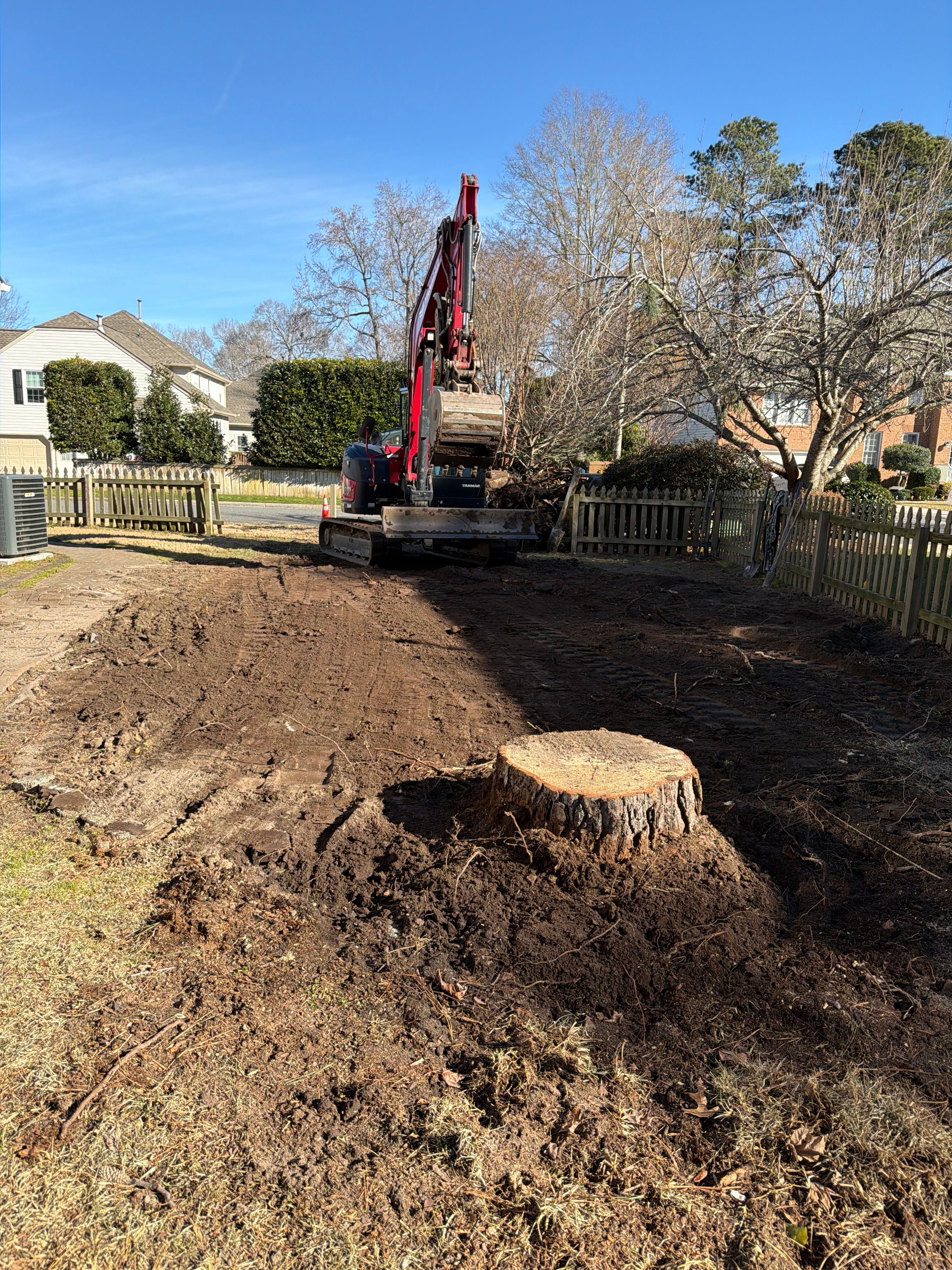 for Tidewater Tree Service in Chesapeake, VA