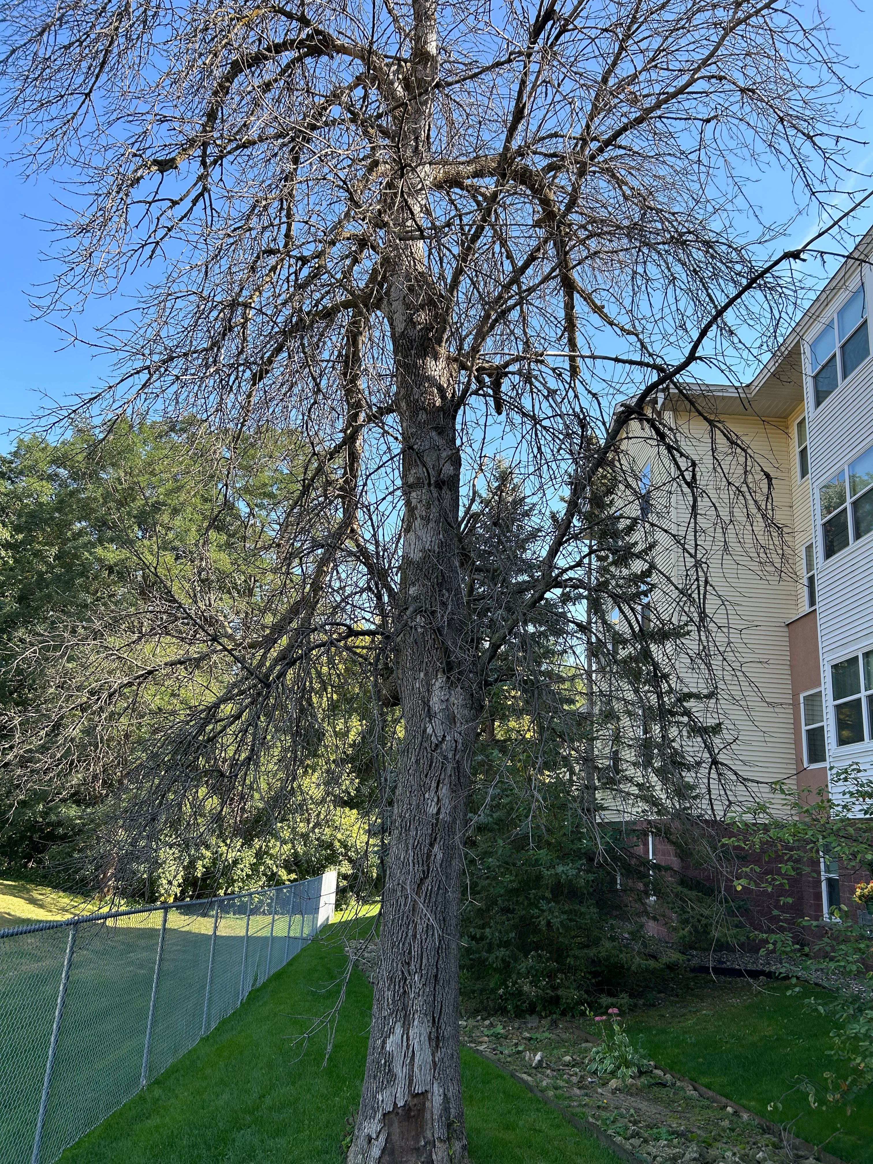 All Photos for Allstate Tree Service and Crane in Minneapolis, MN