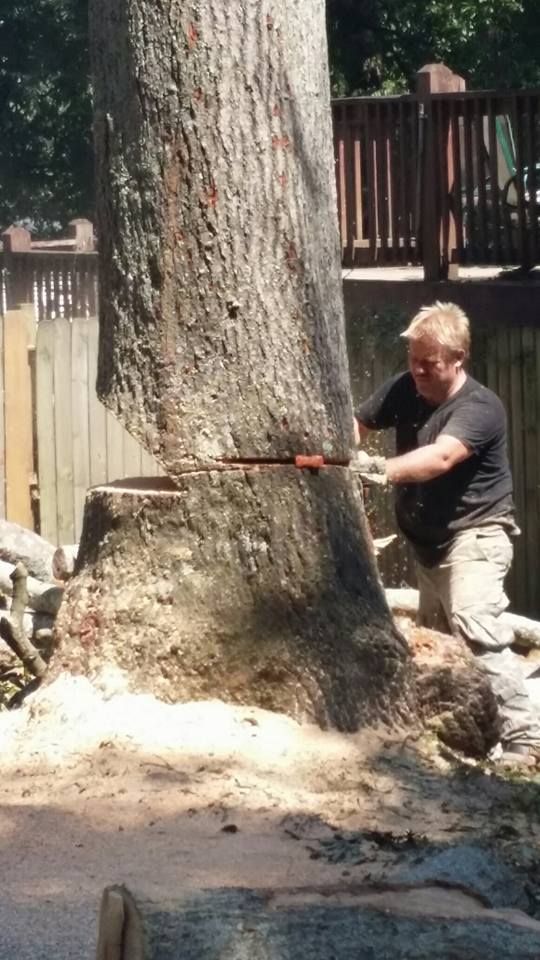  for Professional Tree Service USA in Chattanooga, TN