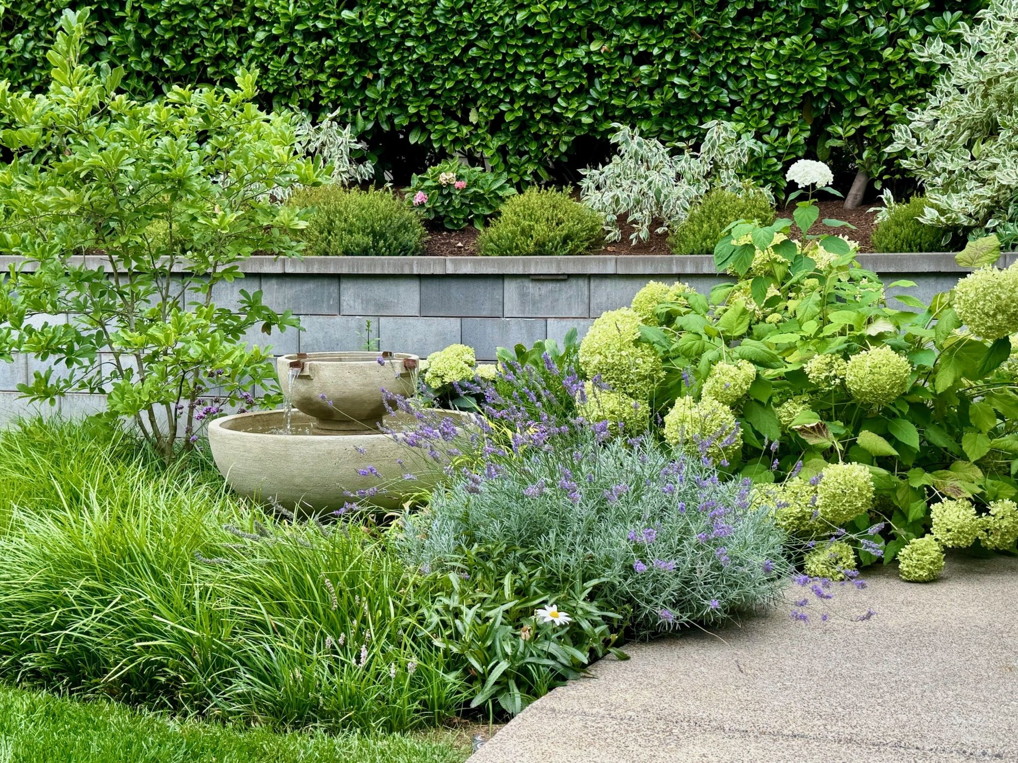  for Courtney Lewis Landscape Design in Portland, OR
