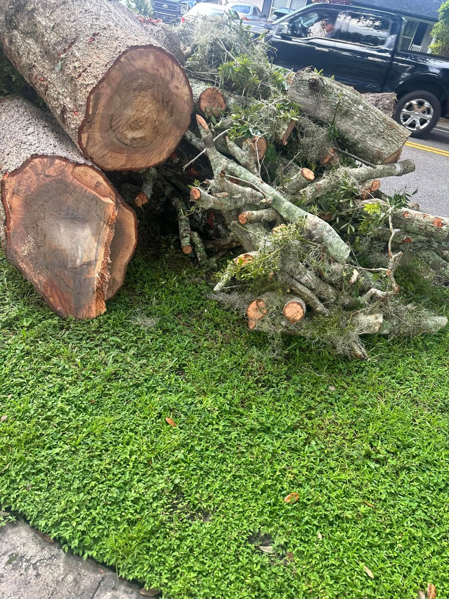  for Narrow Path Tree Service in Deland, FL