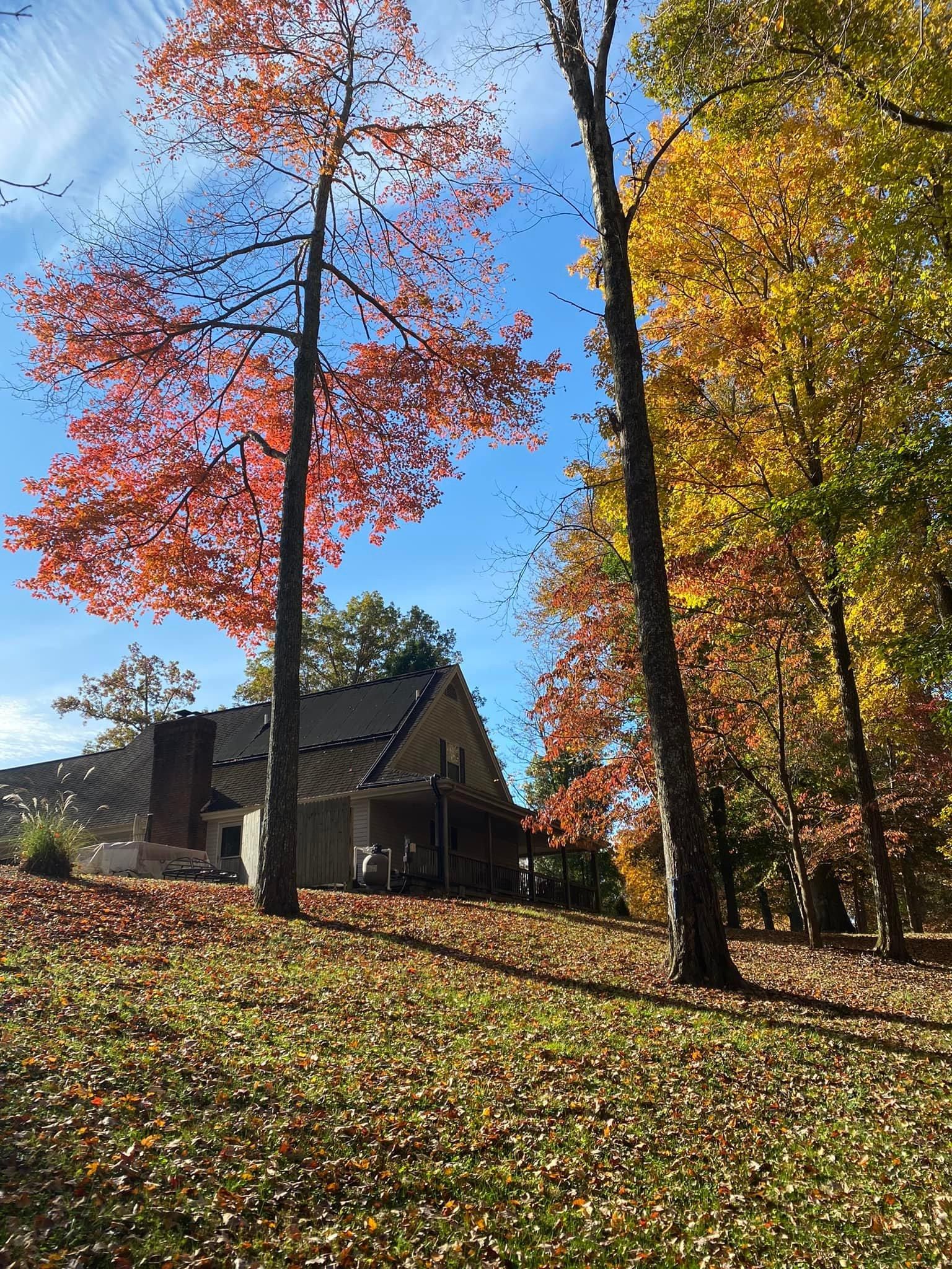 Fall and Spring Clean Up for Atwood’s Tree Care in Liberty,  KY