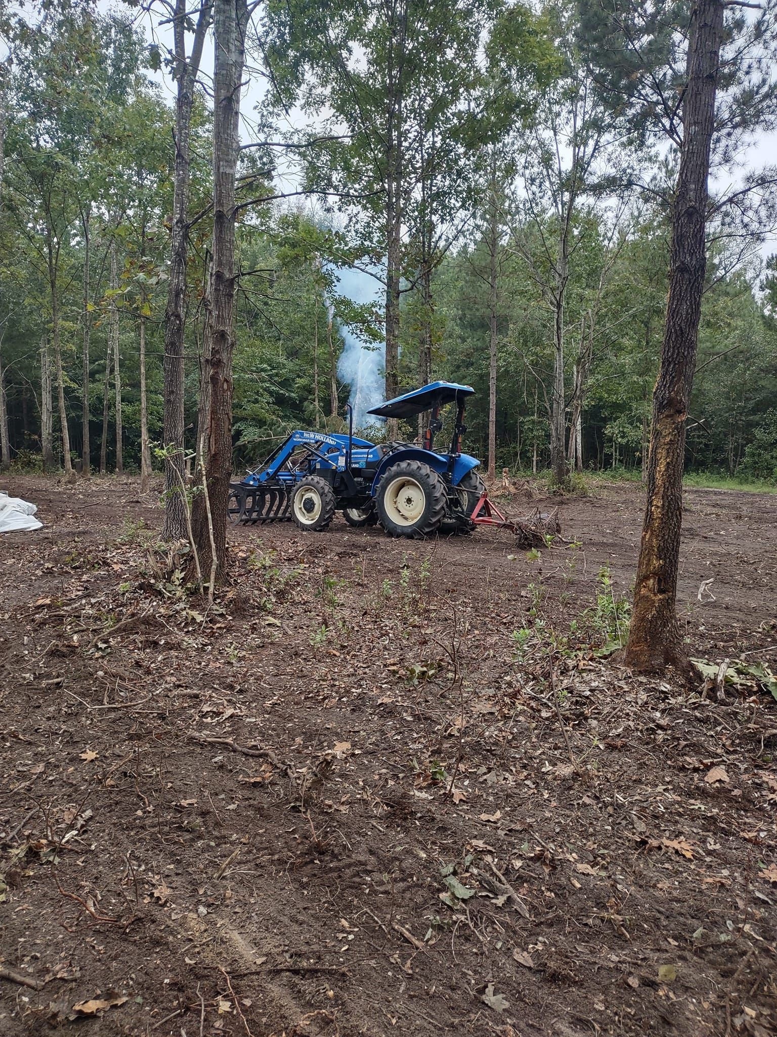  for Country Cutters Tree Service in Prince George, VA