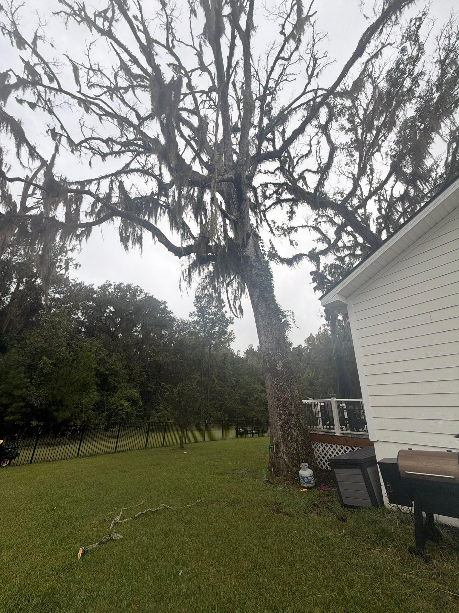 All Photos for Hawkins Tree Service & Land Management in Richmond Hill, GA