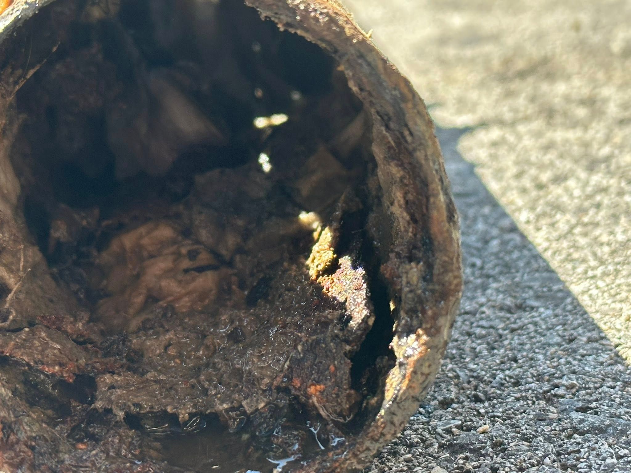  for Drain Pro Plus in Essex, MD