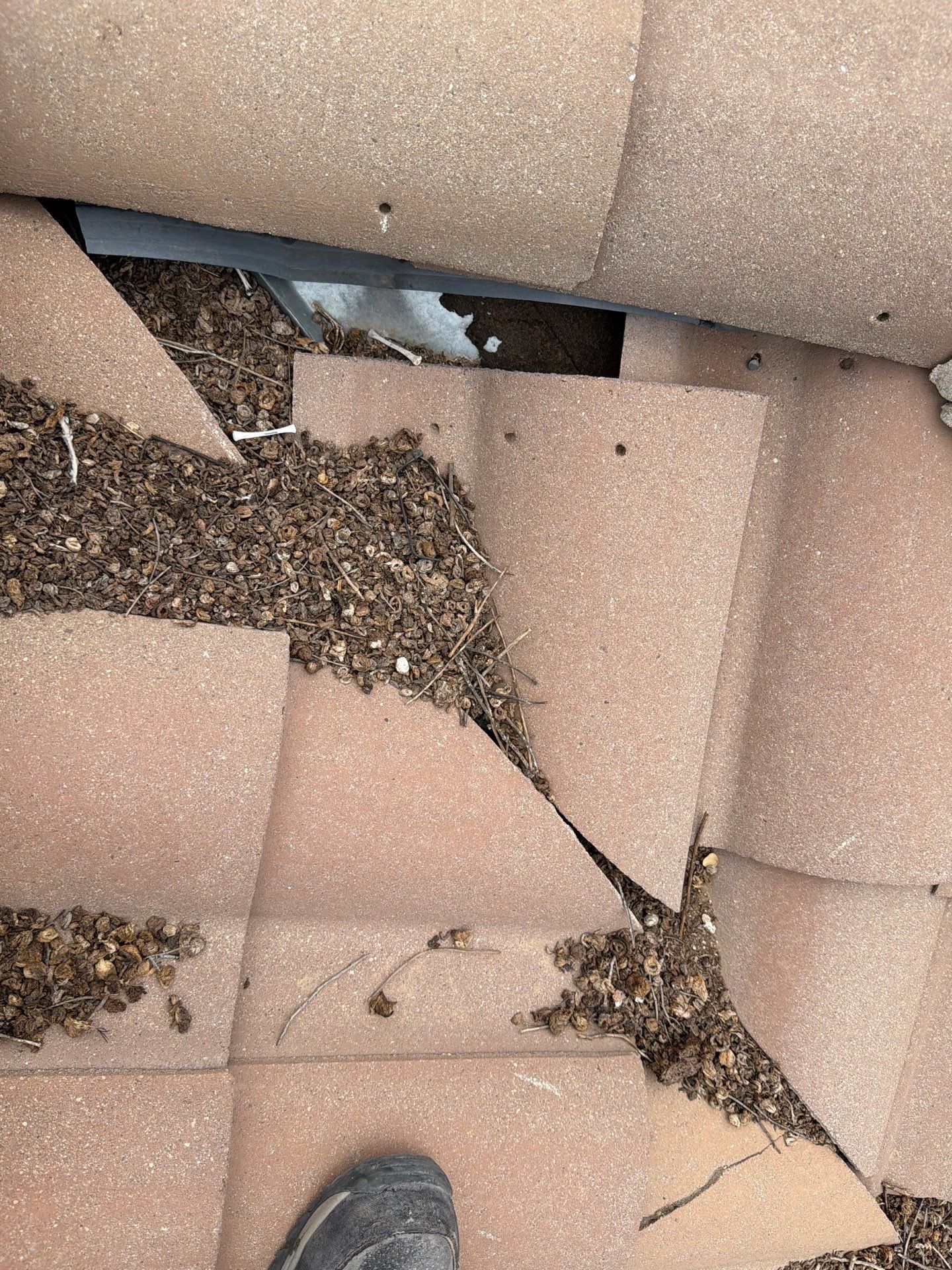  for Olson & Sons Contracting in Mesa, AZ