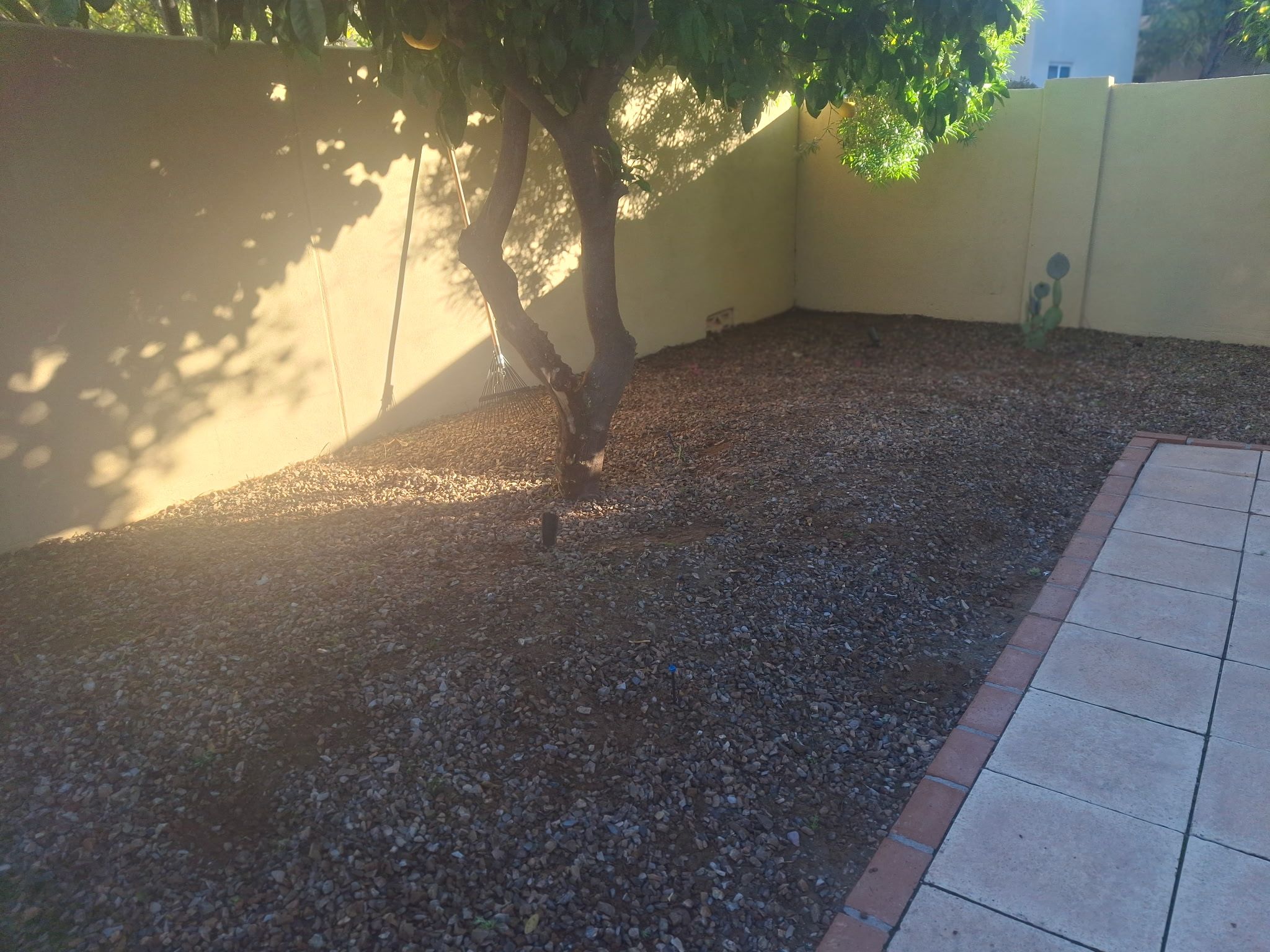  for Family Landscaping in Phoenix, AZ