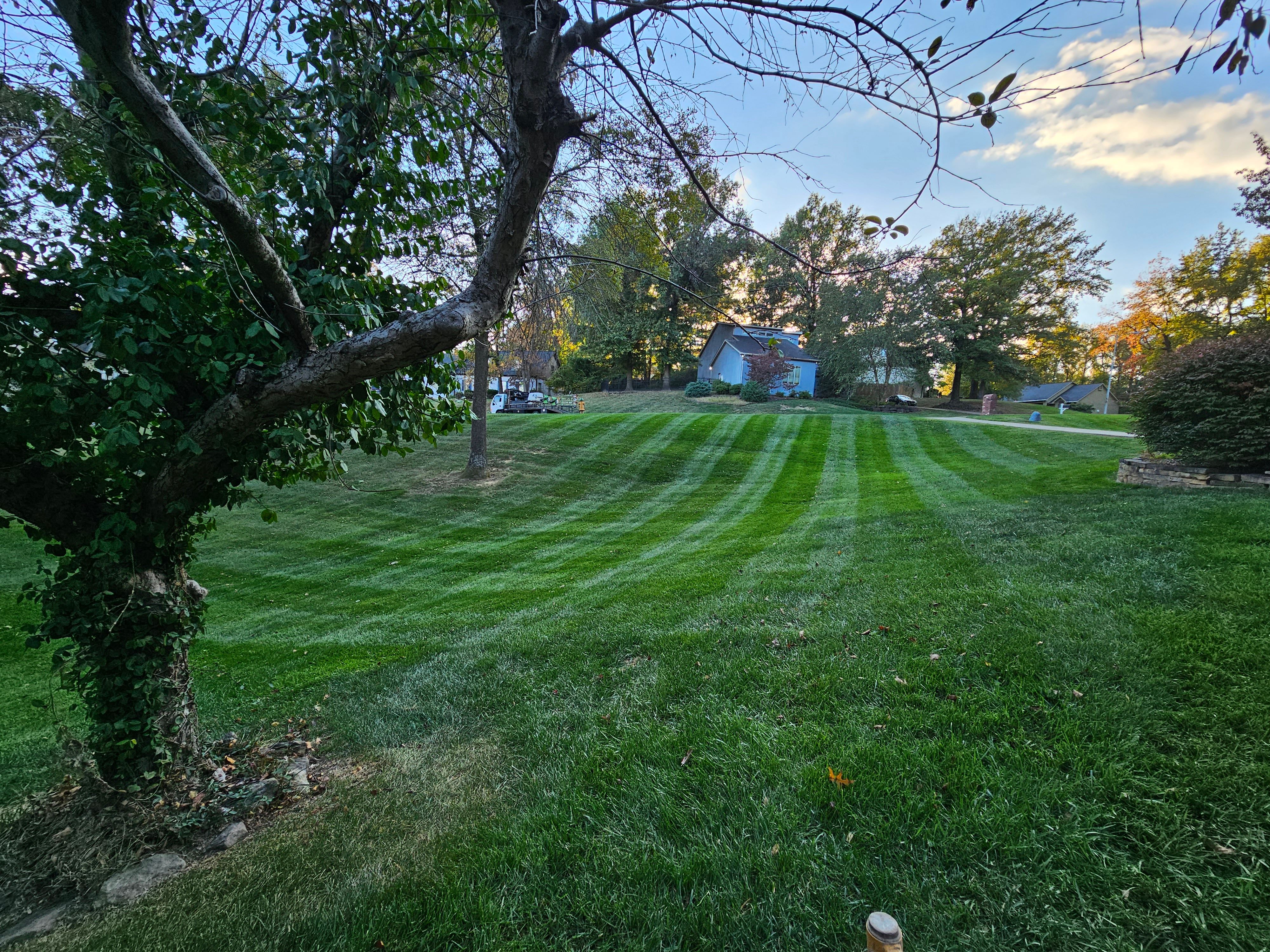  for The Grass Guys™ in Evansville, IN