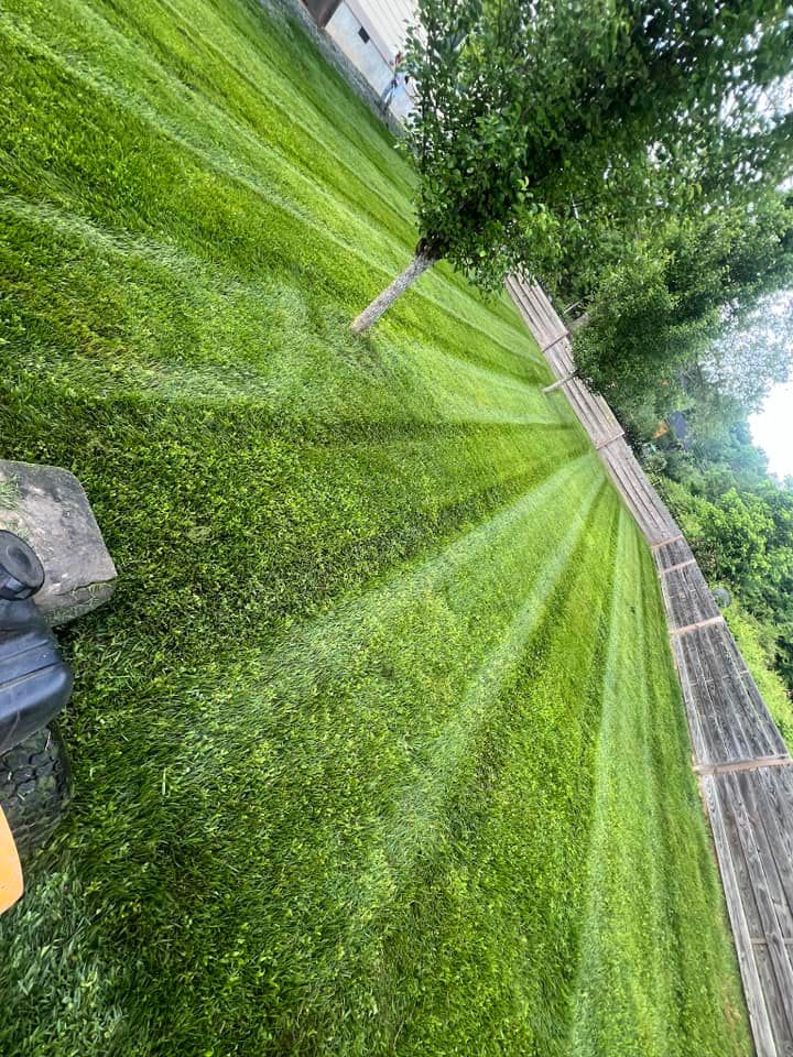 All Photos for SkyLimit LawnCare in Asheville, NC