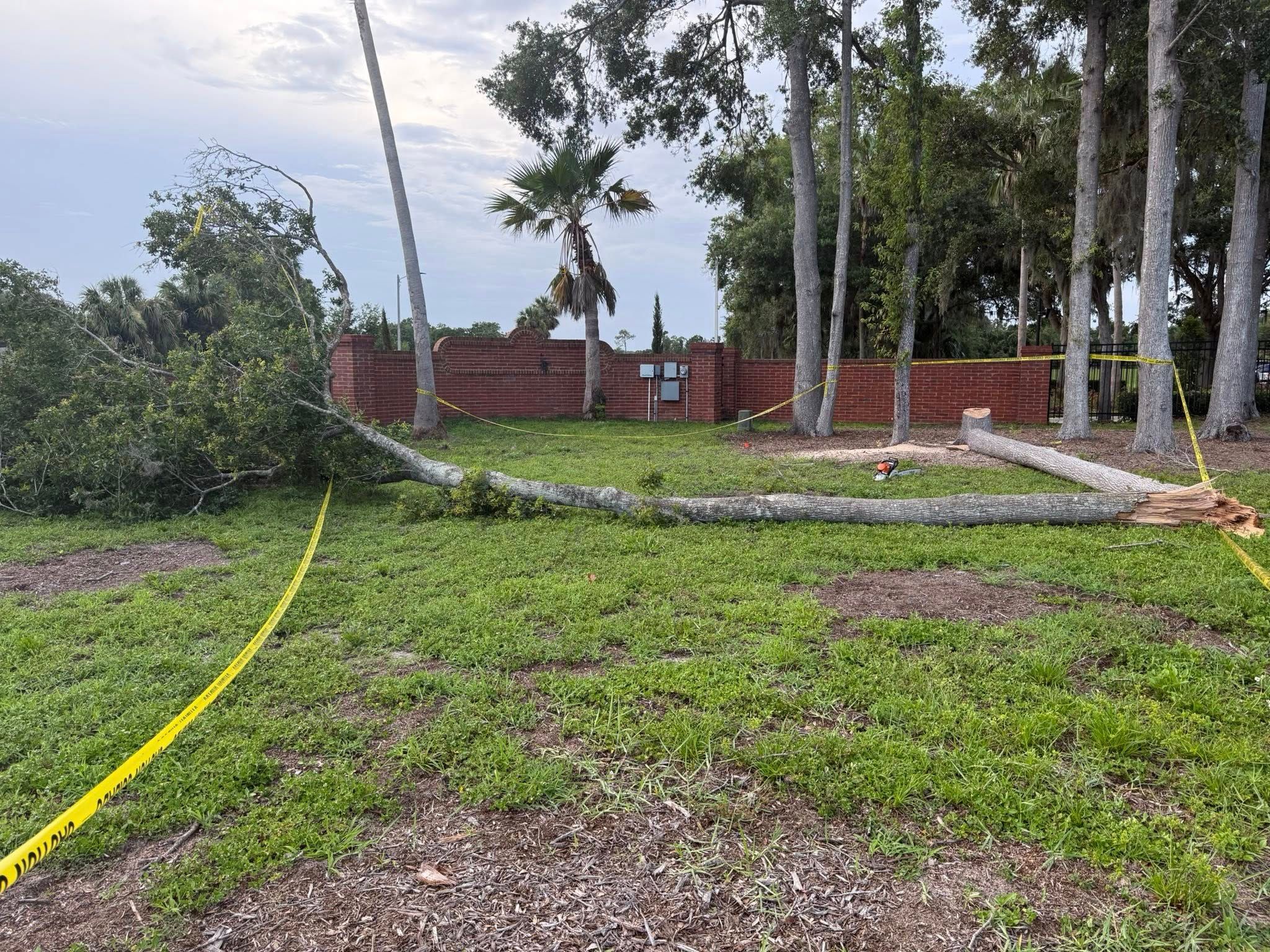  for Amerigrown Tree And Lawn in Apopka, FL