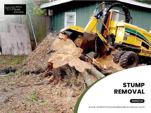 All Photos for Asbell's Tree & Land Services in Gilchrist County, FL