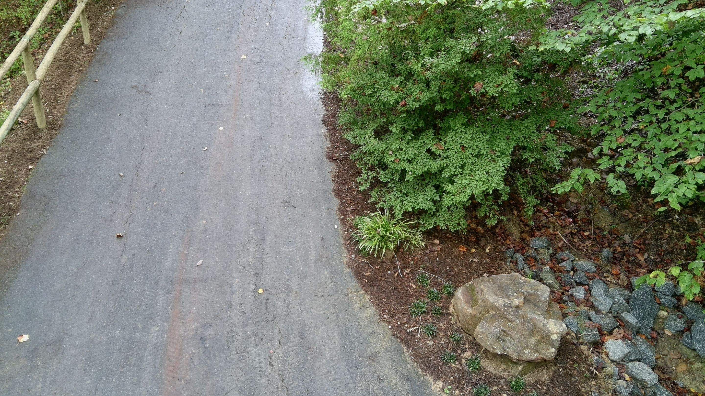  for Rescue Grading & Landscaping in Marietta, SC