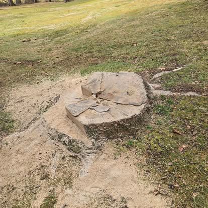  for Lopez Landscaping and Tree Service  in Waynesville, NC