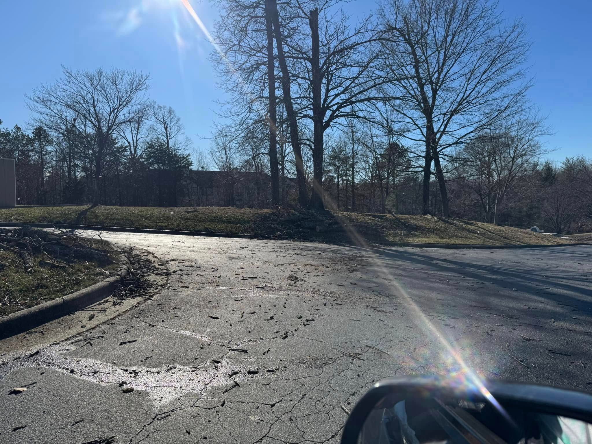 All Photos for Meade tree service in Greensboro, NC