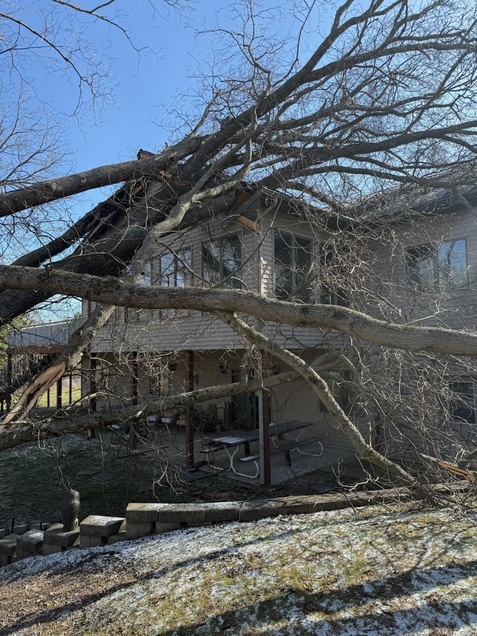  for Branching Out Tree Service in Hastings, MI