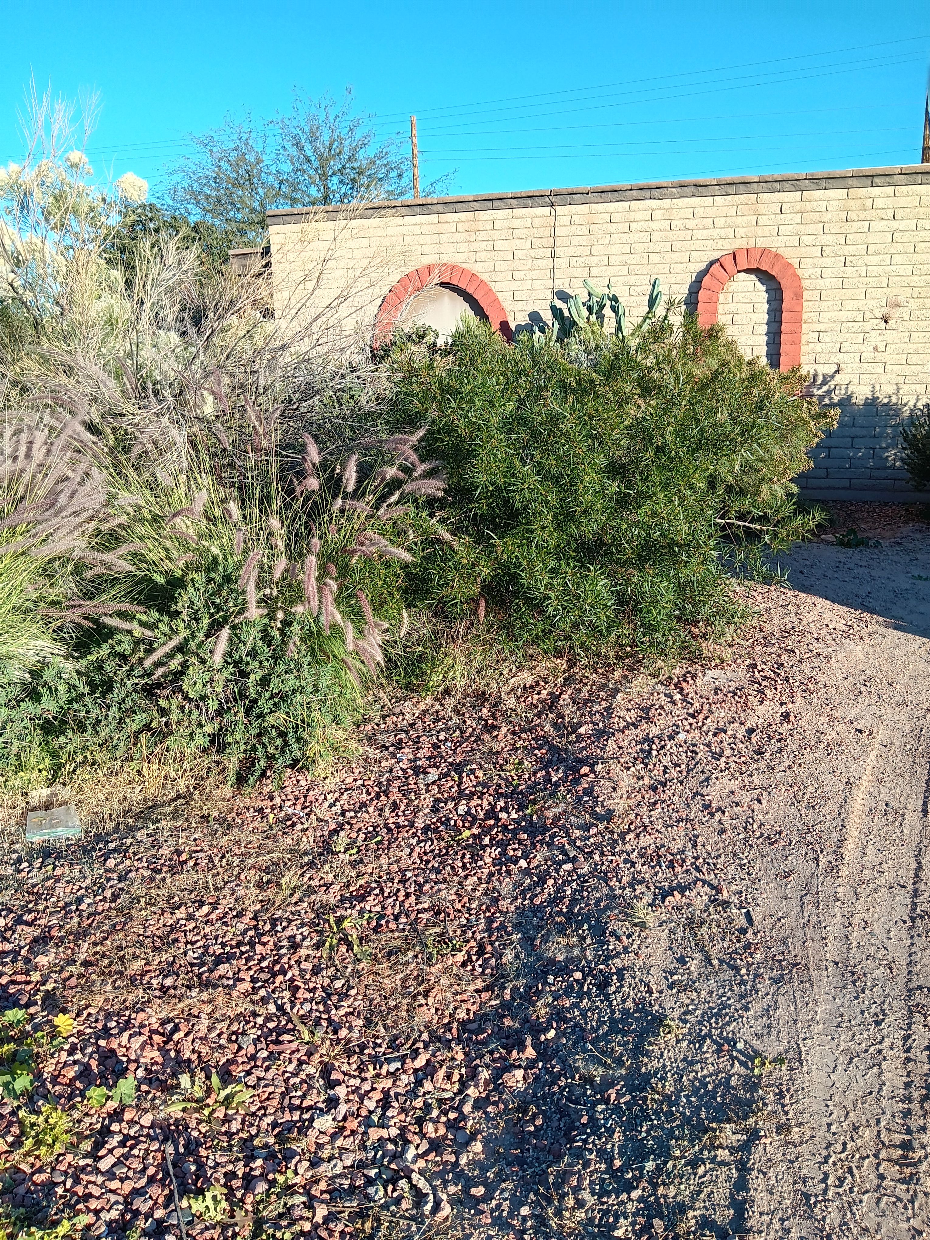  for Family Landscaping in Phoenix, AZ