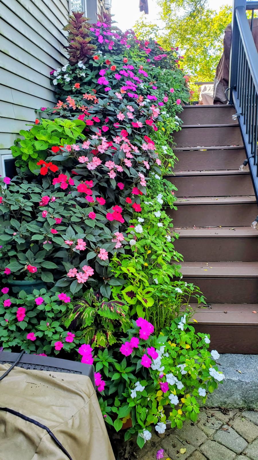  for Evolution Earthscapes, LLC in Ludlow, MA