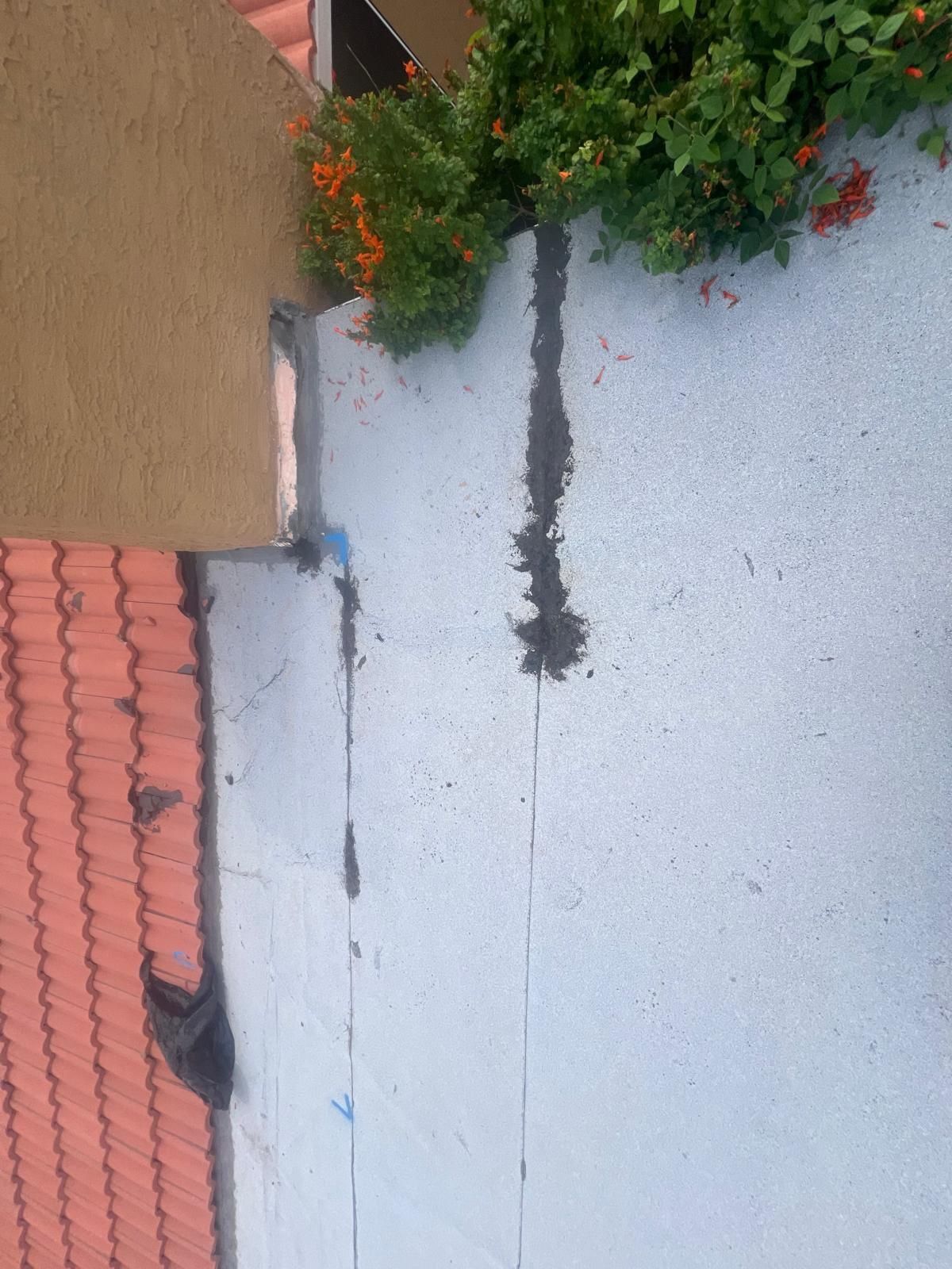  for Castro’s Custom’s Roofing LLC in Tucson, AZ