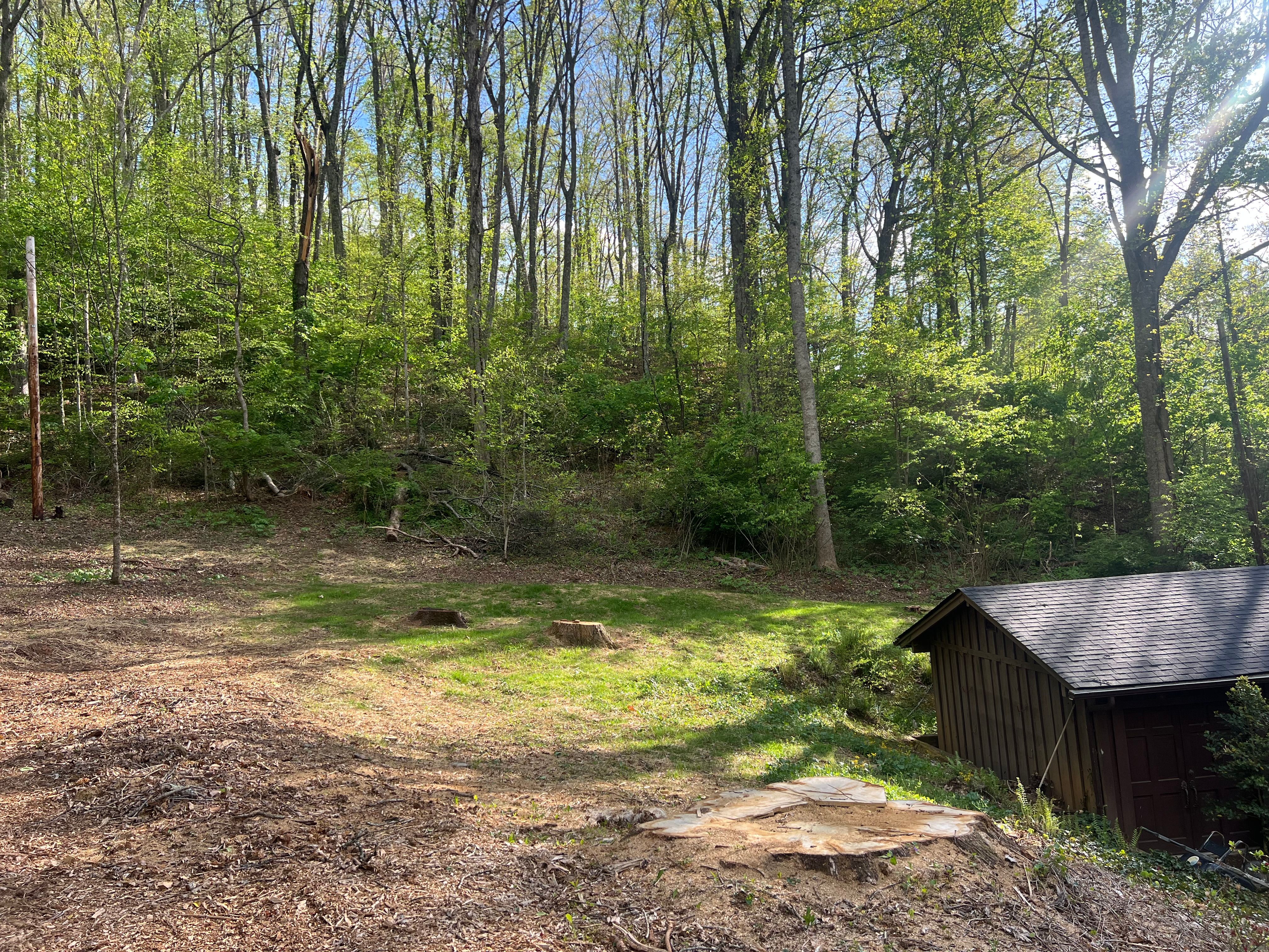  for Ground To Sky Tree Care in Asheville, North Carolina
