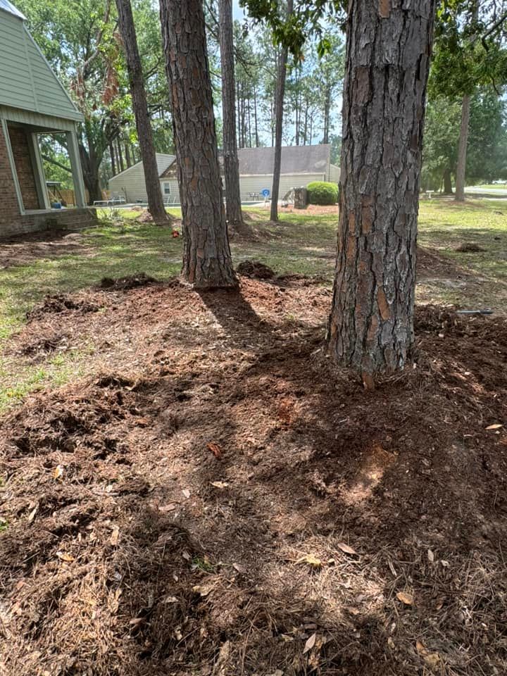  for Sierra Verde Landscaping in Vidalia, GA