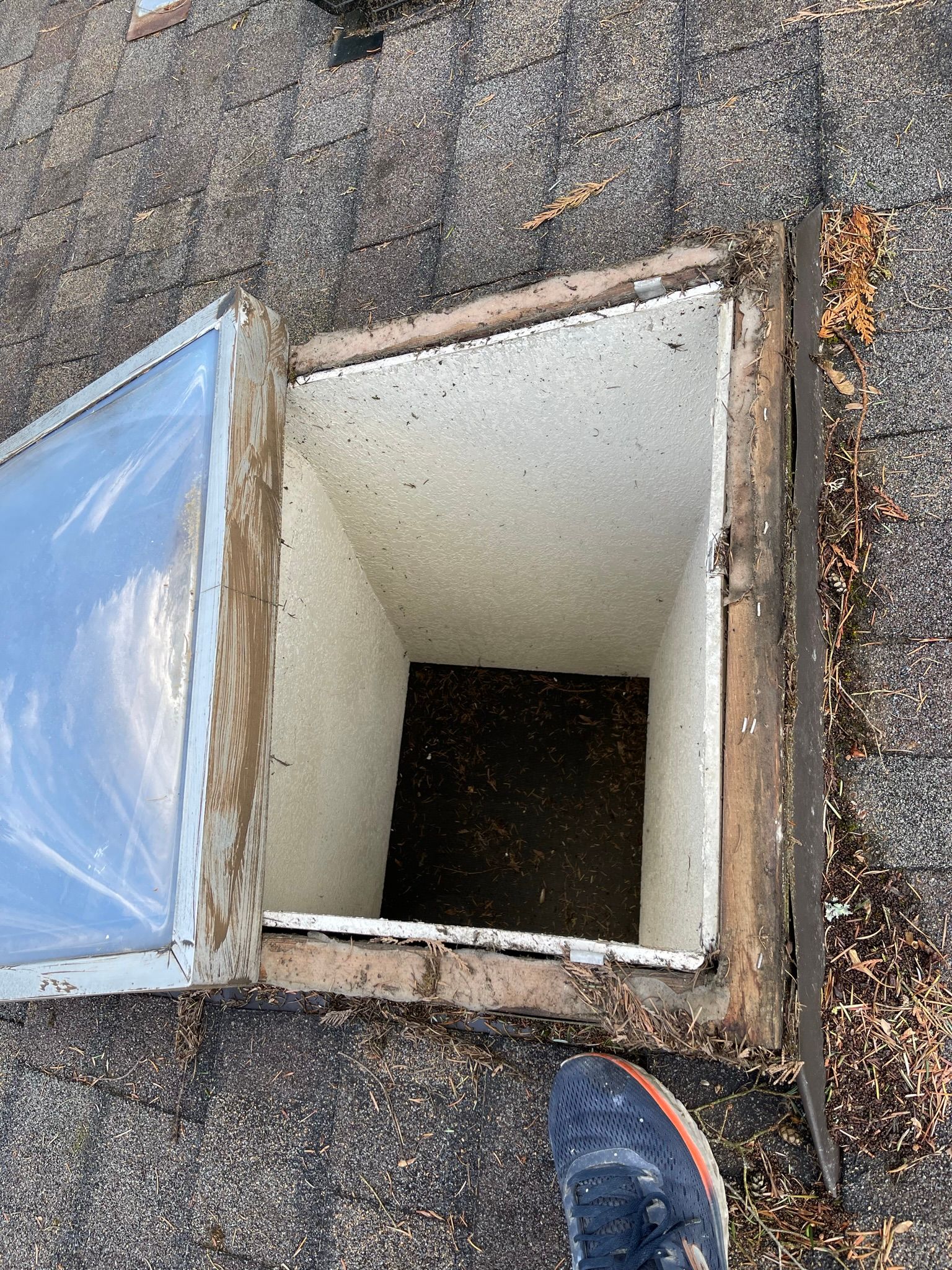  for Tony's Remodeling & Painting in Renton, WA