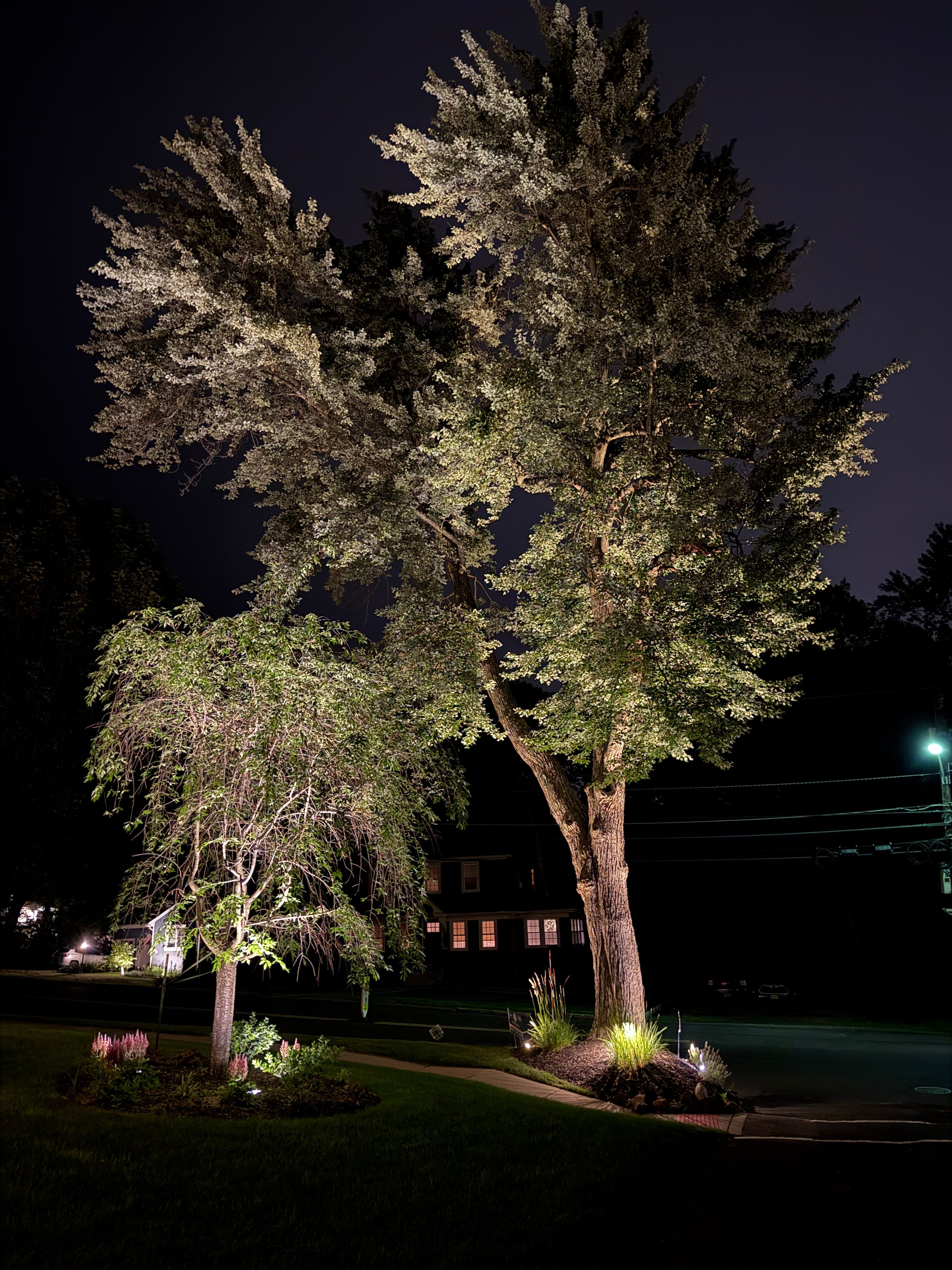 All Photos for Unique Outdoor Lighting in Short Hills, NJ