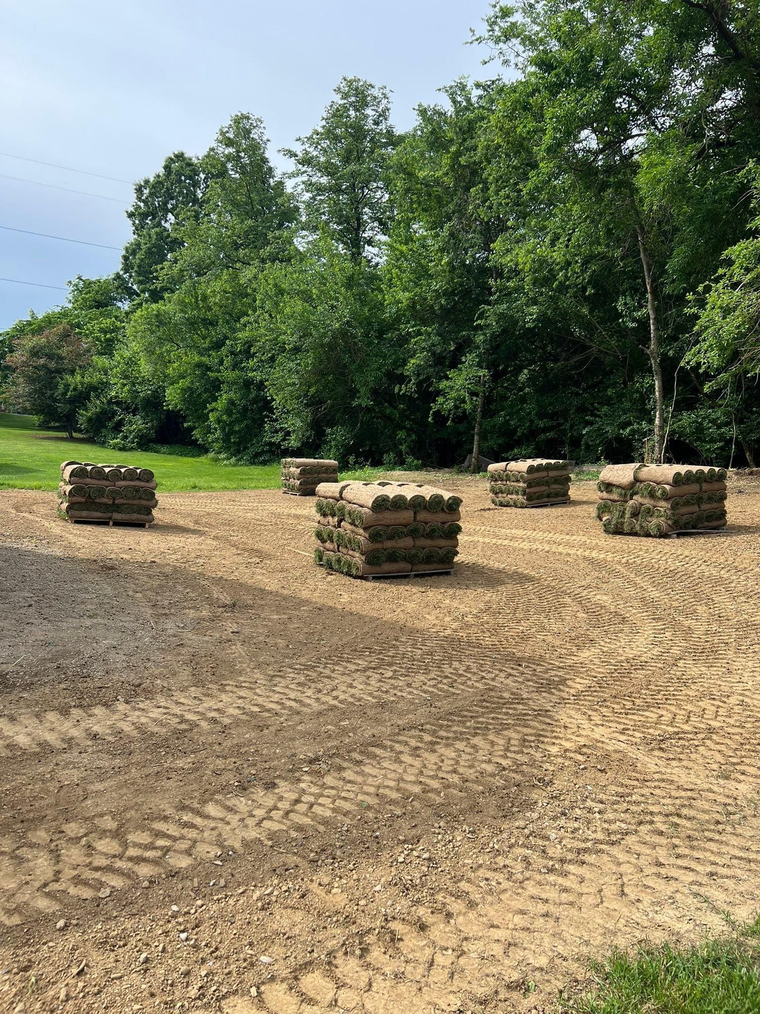  for Full Service Landscaping in Louisville, KY