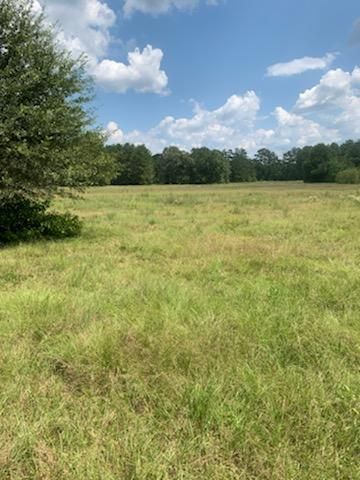  for JT’s Landscaping in Tyler County, TX