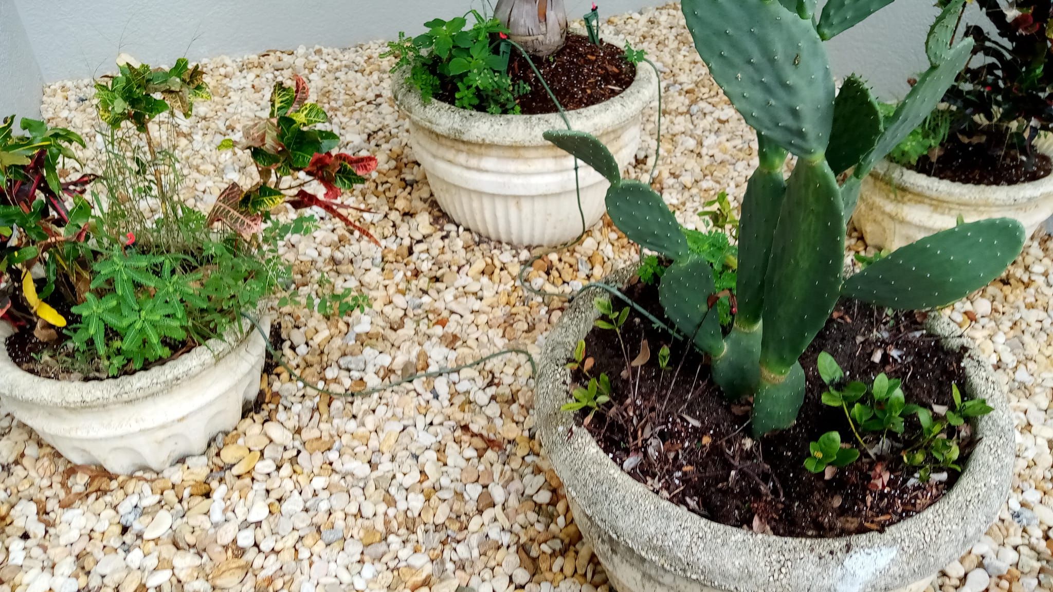  for Keys Yard Maintenance and Handyman in Marathon, FL