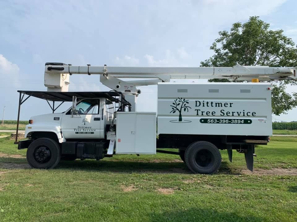 Other Services for Dittmer Tree Service in Davenport, IA