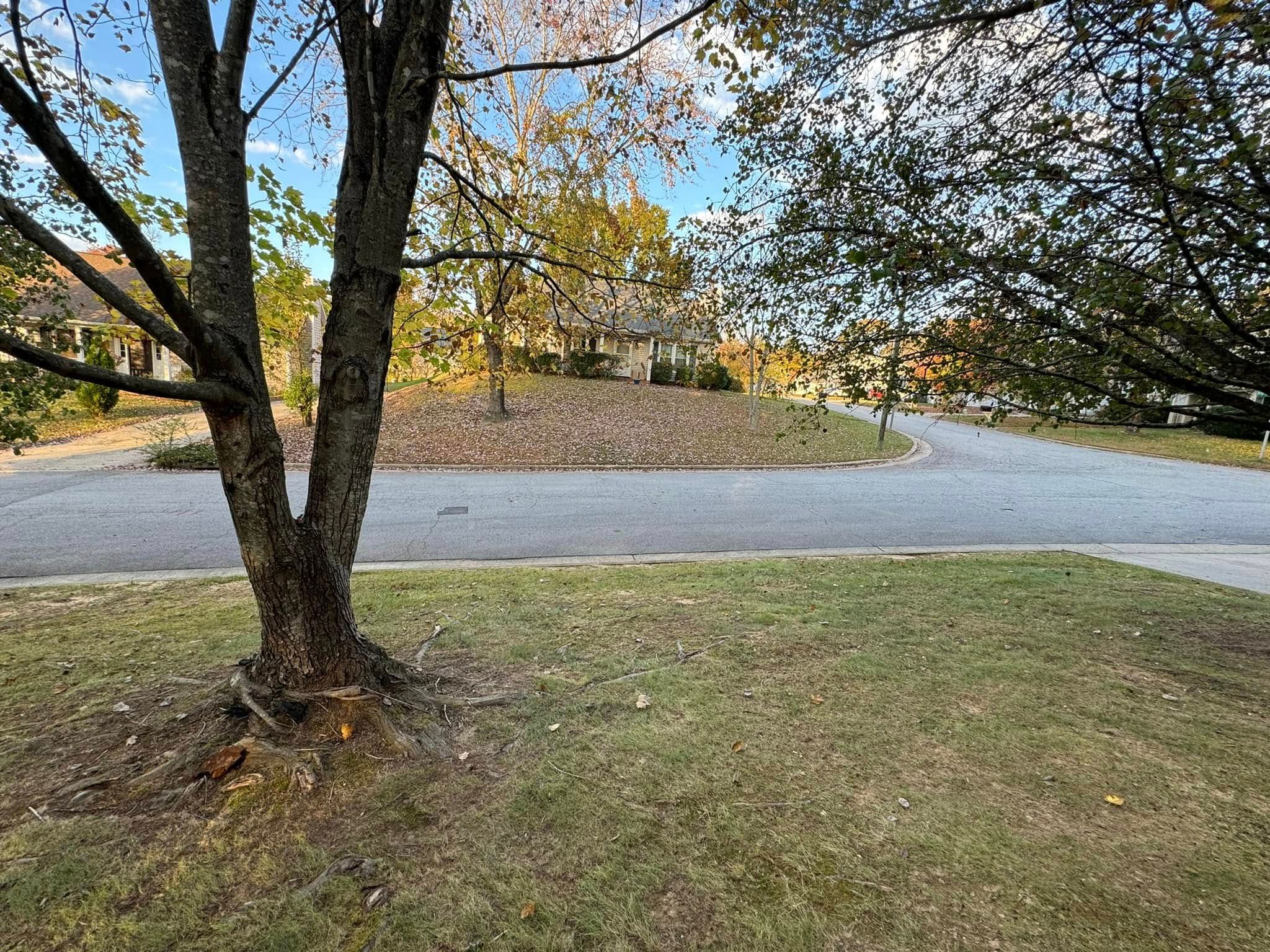All Photos for Meade tree service in Greensboro, NC