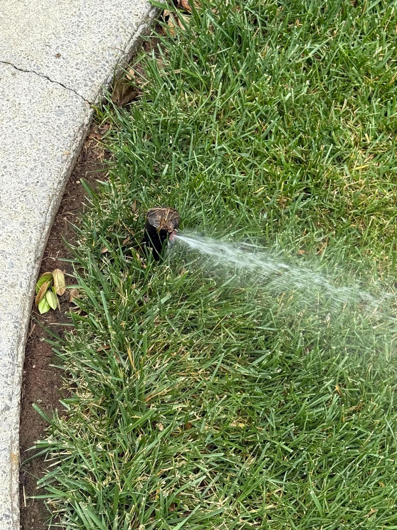  for The Right Price Right Choice Lawn Care Services in Murfreesboro, TN