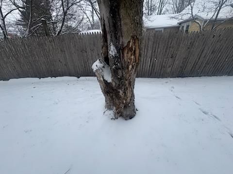 All Photos for Advanced Tree Solutions in Rockville, IN