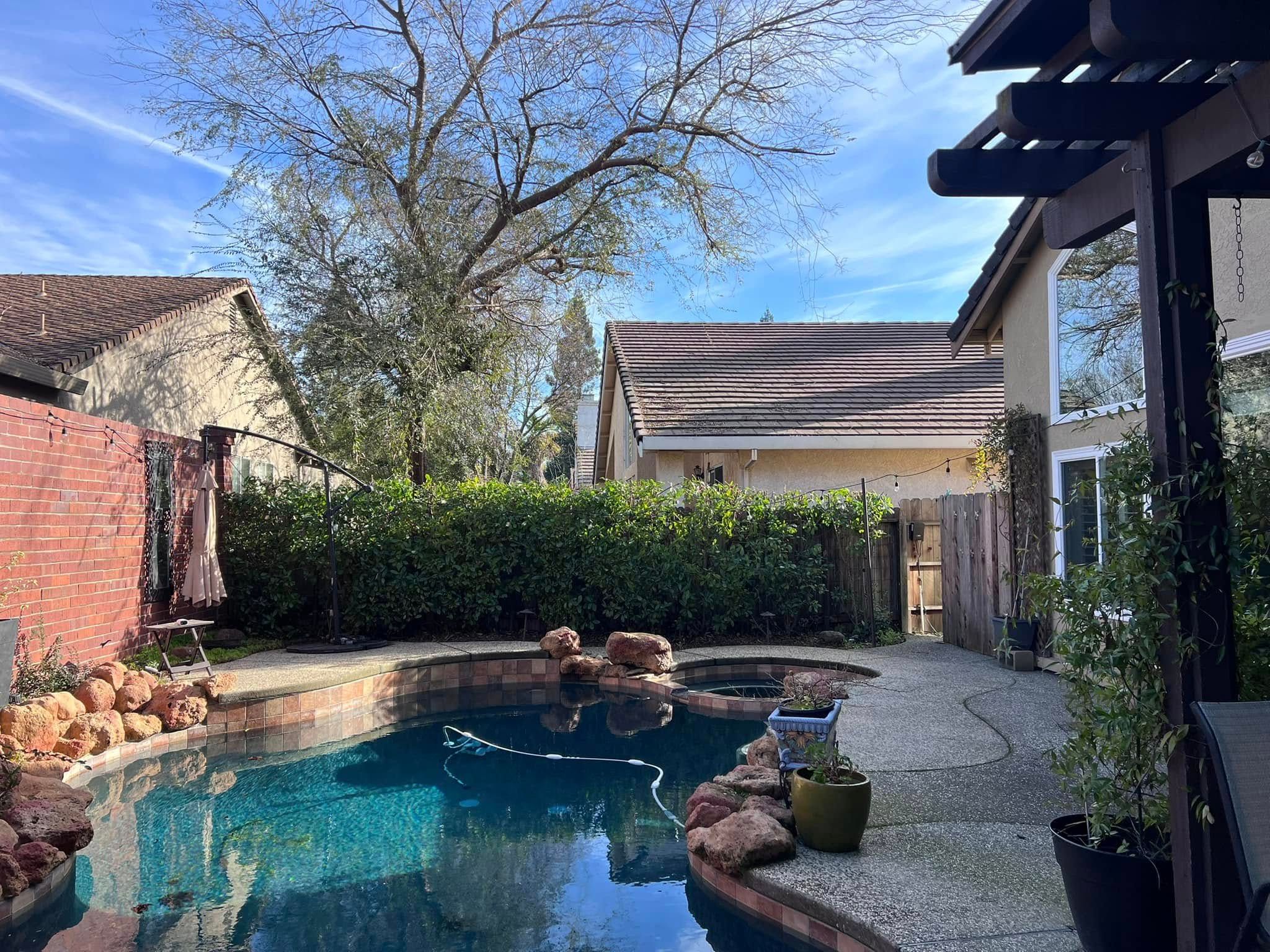 Tree Removal for Sammy's Tree Services in Rancho Cordova, CA