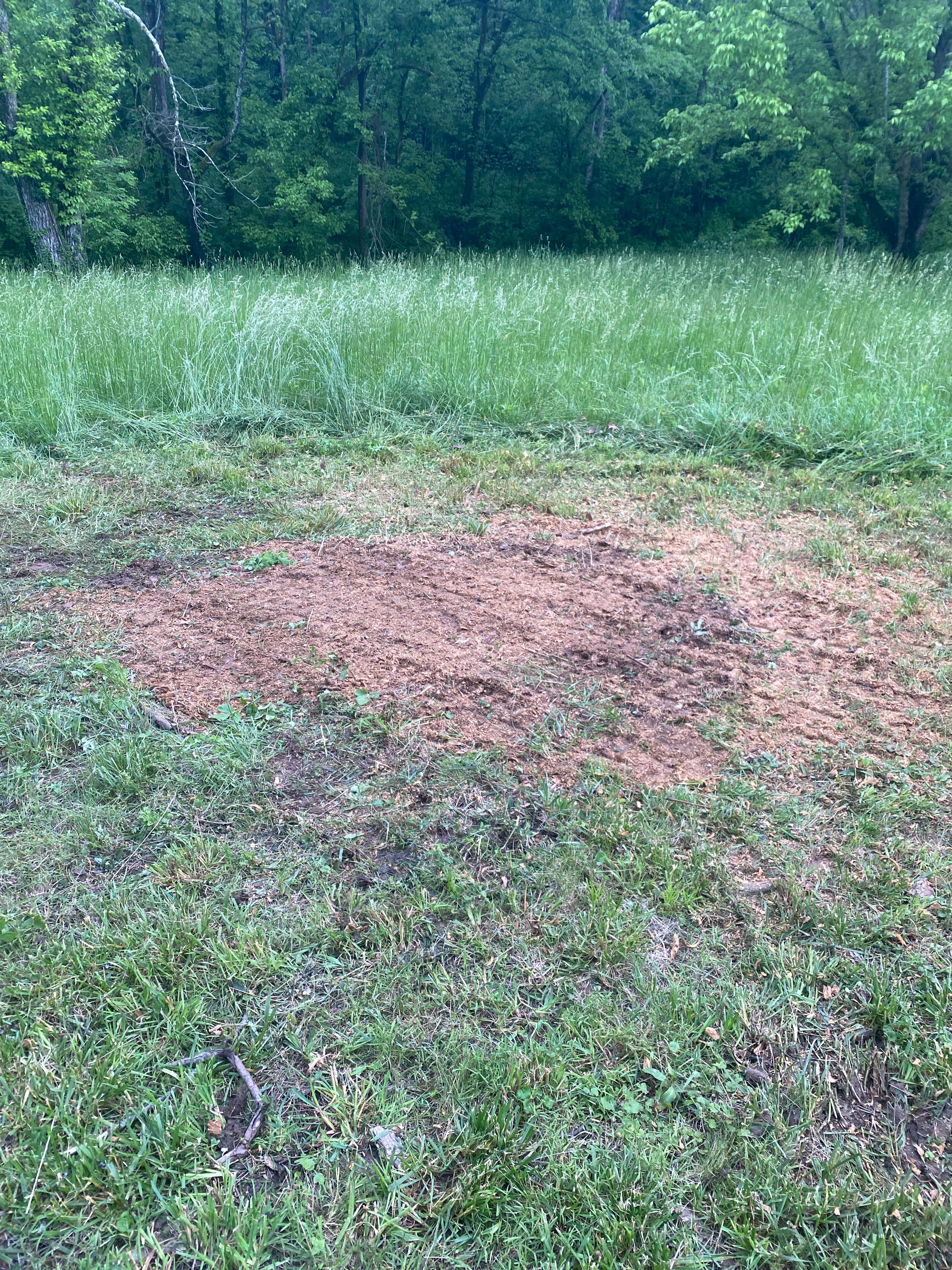 All Photos for Houtz Tree Service in Lexington, KY