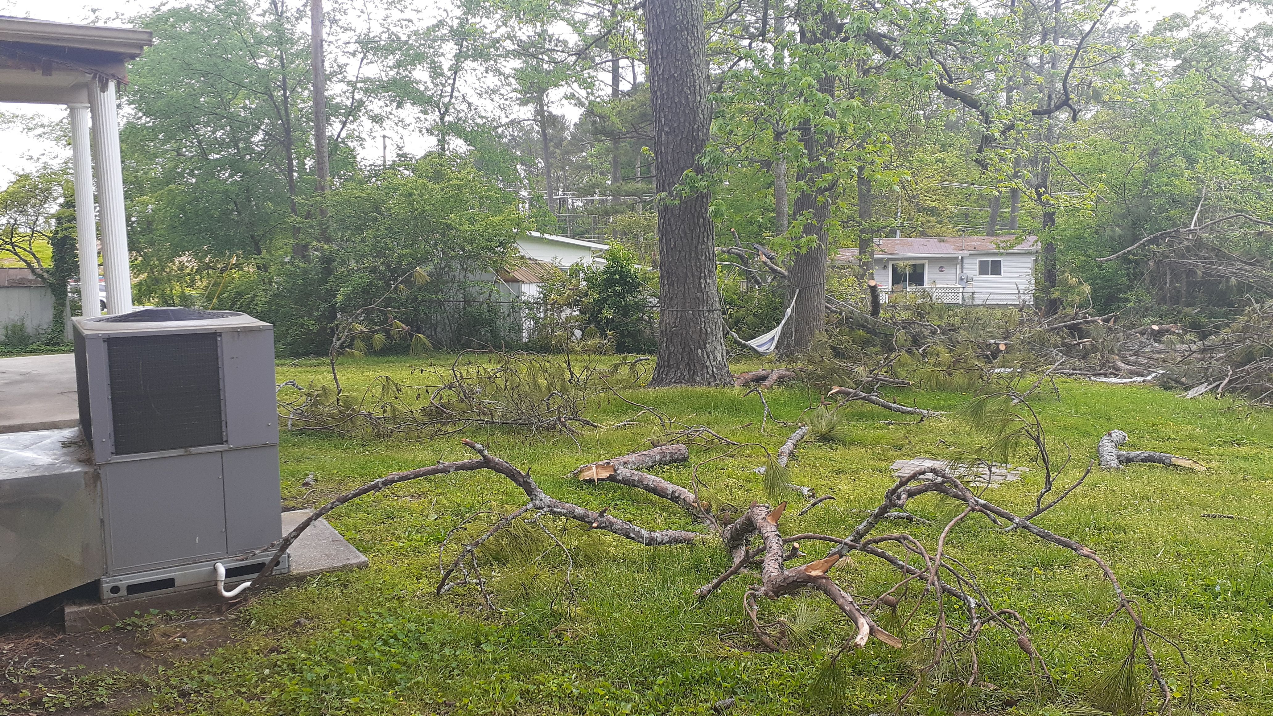  for Professional Tree Service USA in Chattanooga, TN