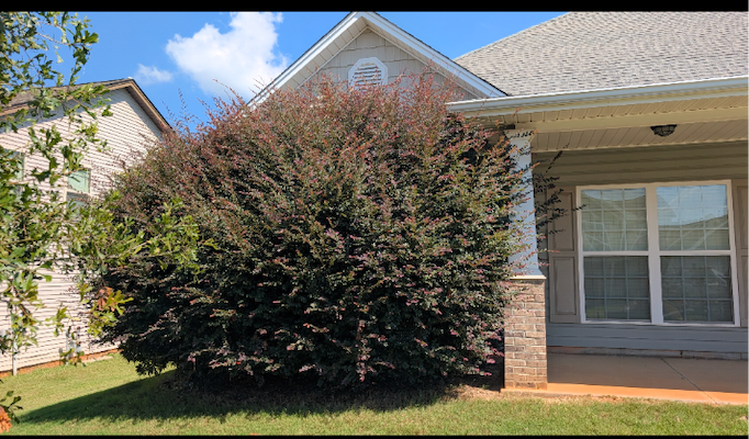  for Teacher Man Lawn Care in Easley, SC