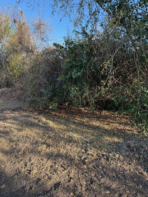  for Thompson Forestry Mulching & Stump Grinding in Douglas, GA