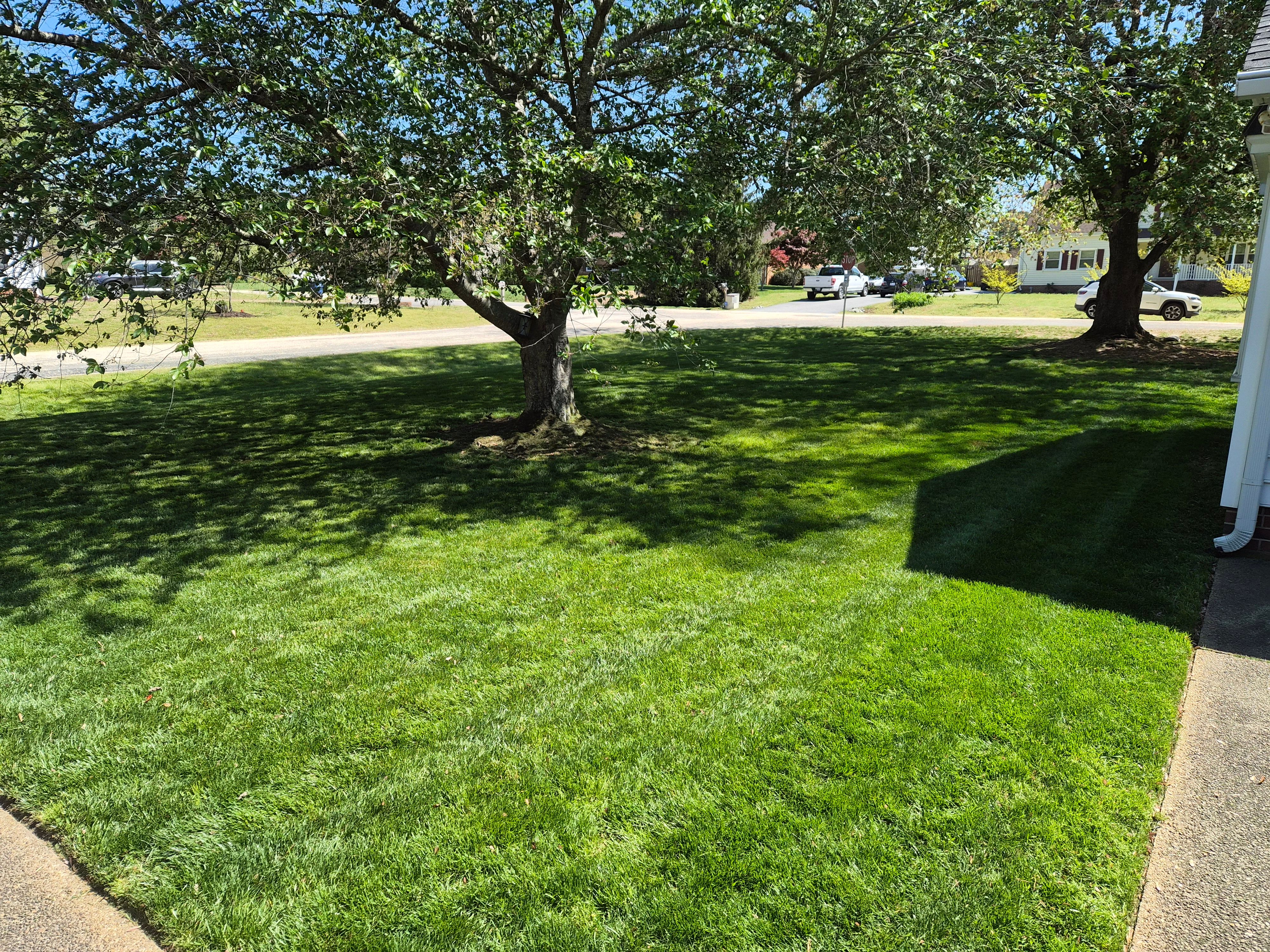 Landscaping  for 4 Points Lawncare LLC in Hayes, VA
