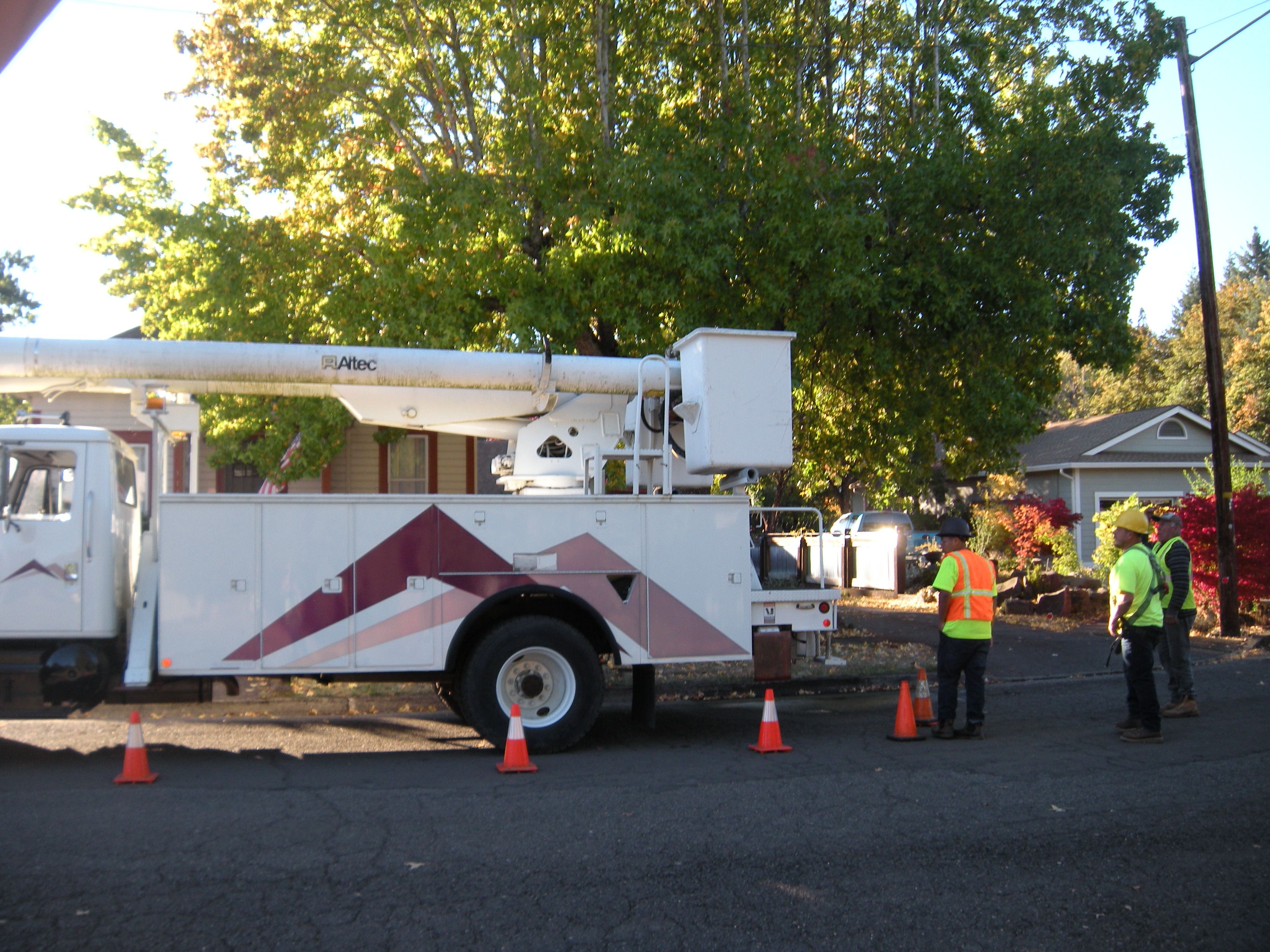  for Willamette Landscaping and Tree Services in Albany, OR