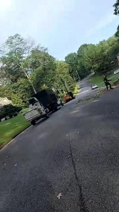  for Integrity Tree and Landscaping in Lynchburg, VA